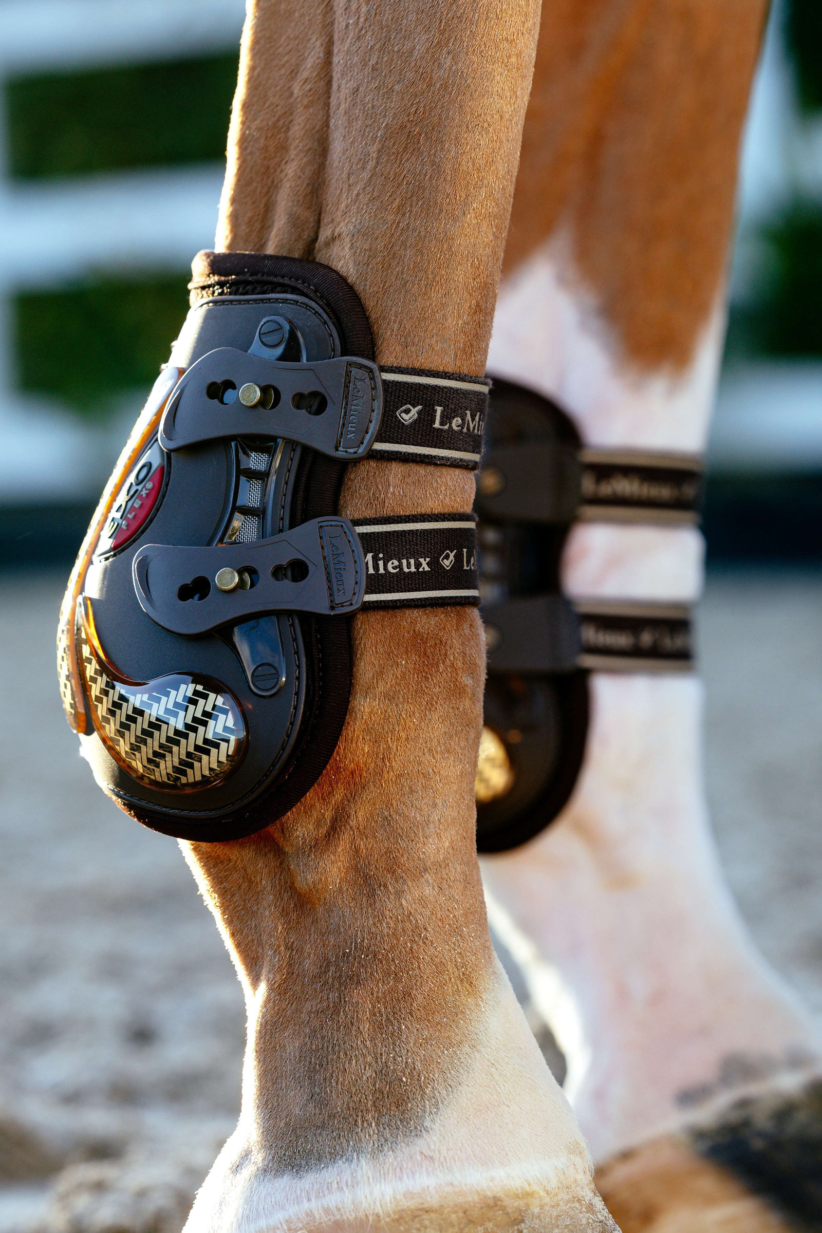 Bottines LeMieux EXO Flex