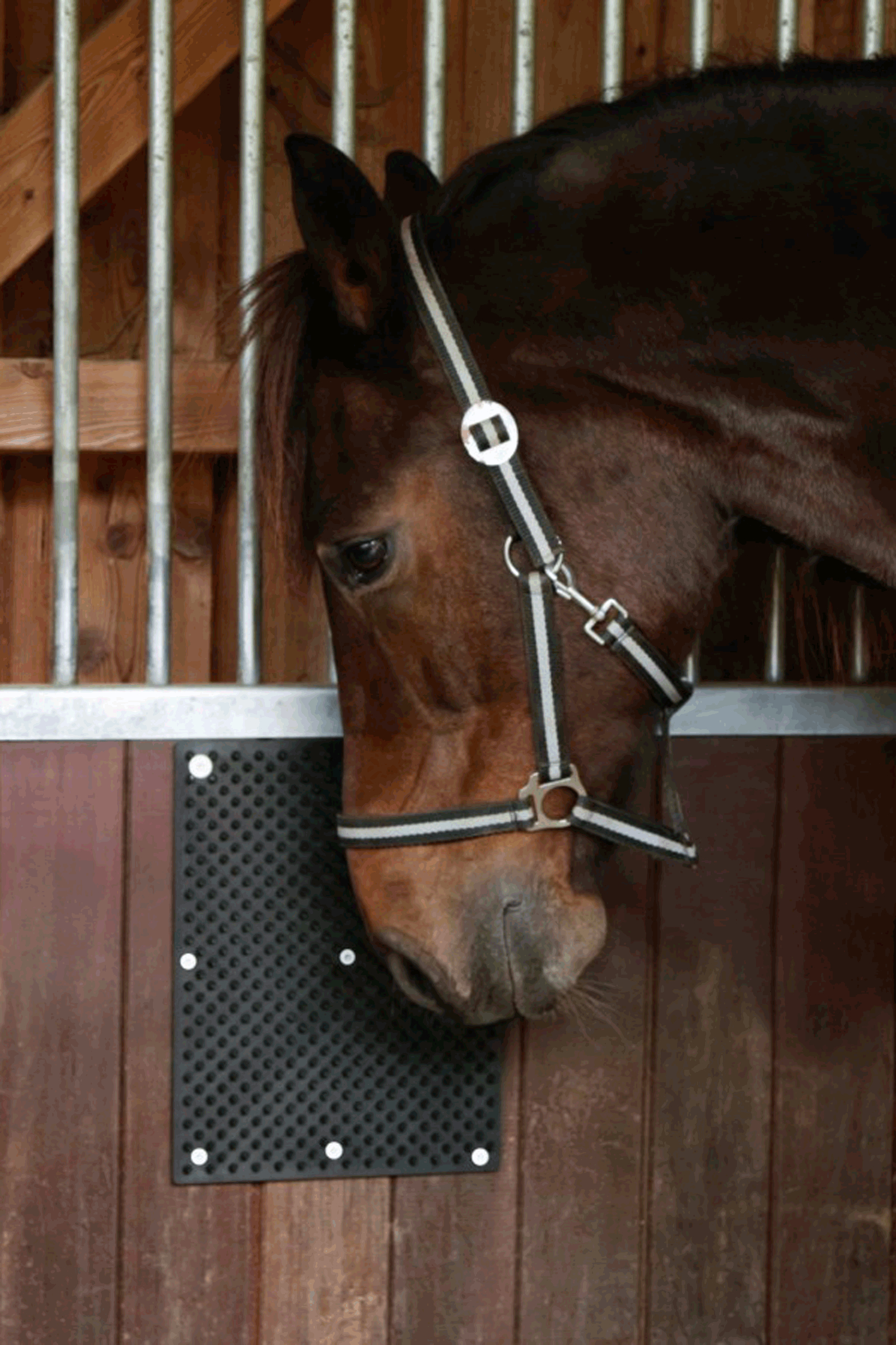 Kerbl Tapis à gratter