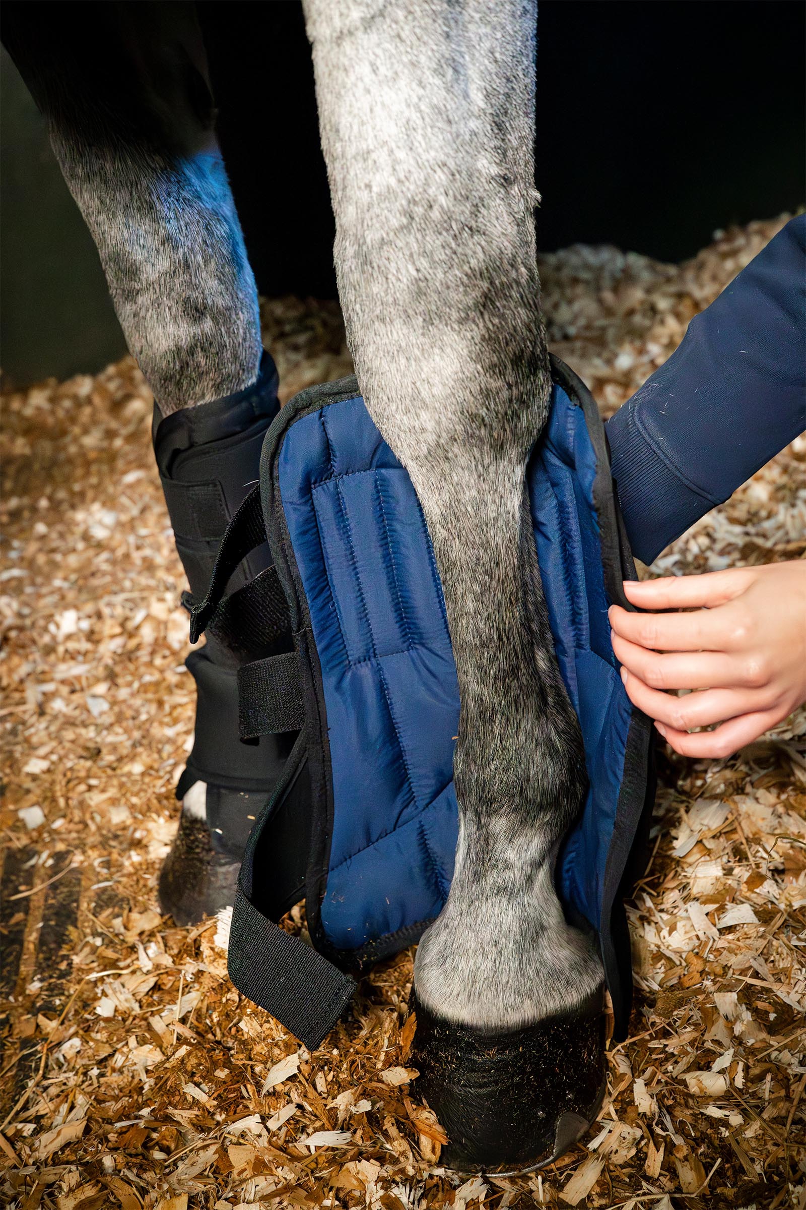 Horseware botte d&rsquo;&eacute;curie Ionic liner