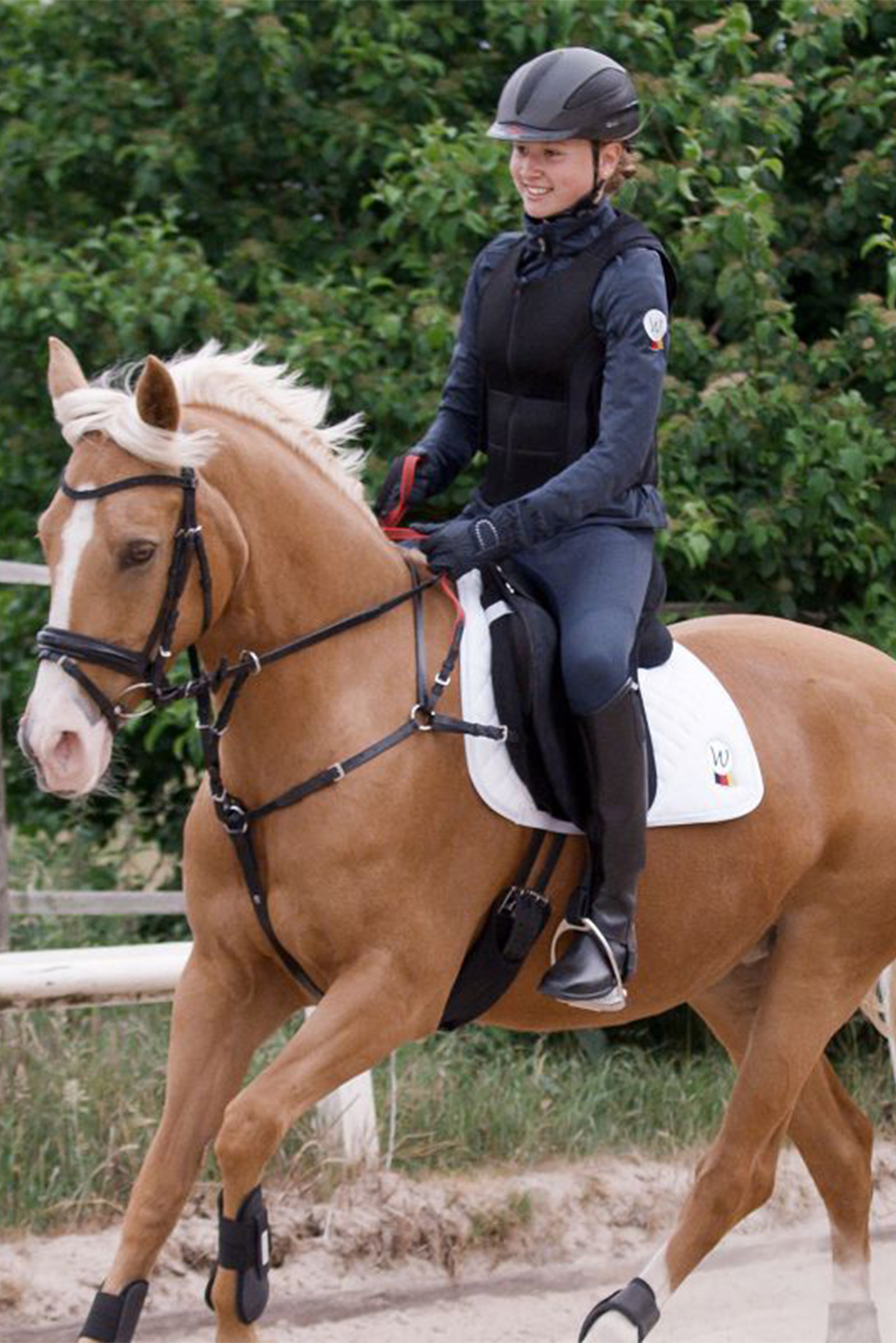 Plastron Waldhausen Secutrust avec rênes de sécurité