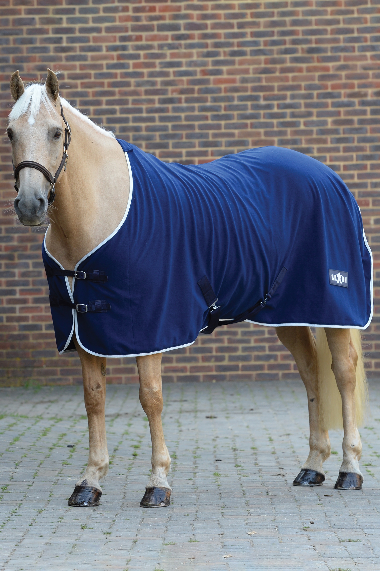 Couverture polaire Saxon