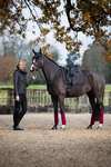 LeMieux tapis de selle carr&eacute; de dressage en su&eacute;dine