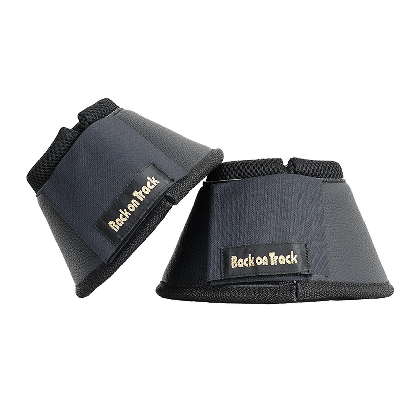 Cloches Back in Track