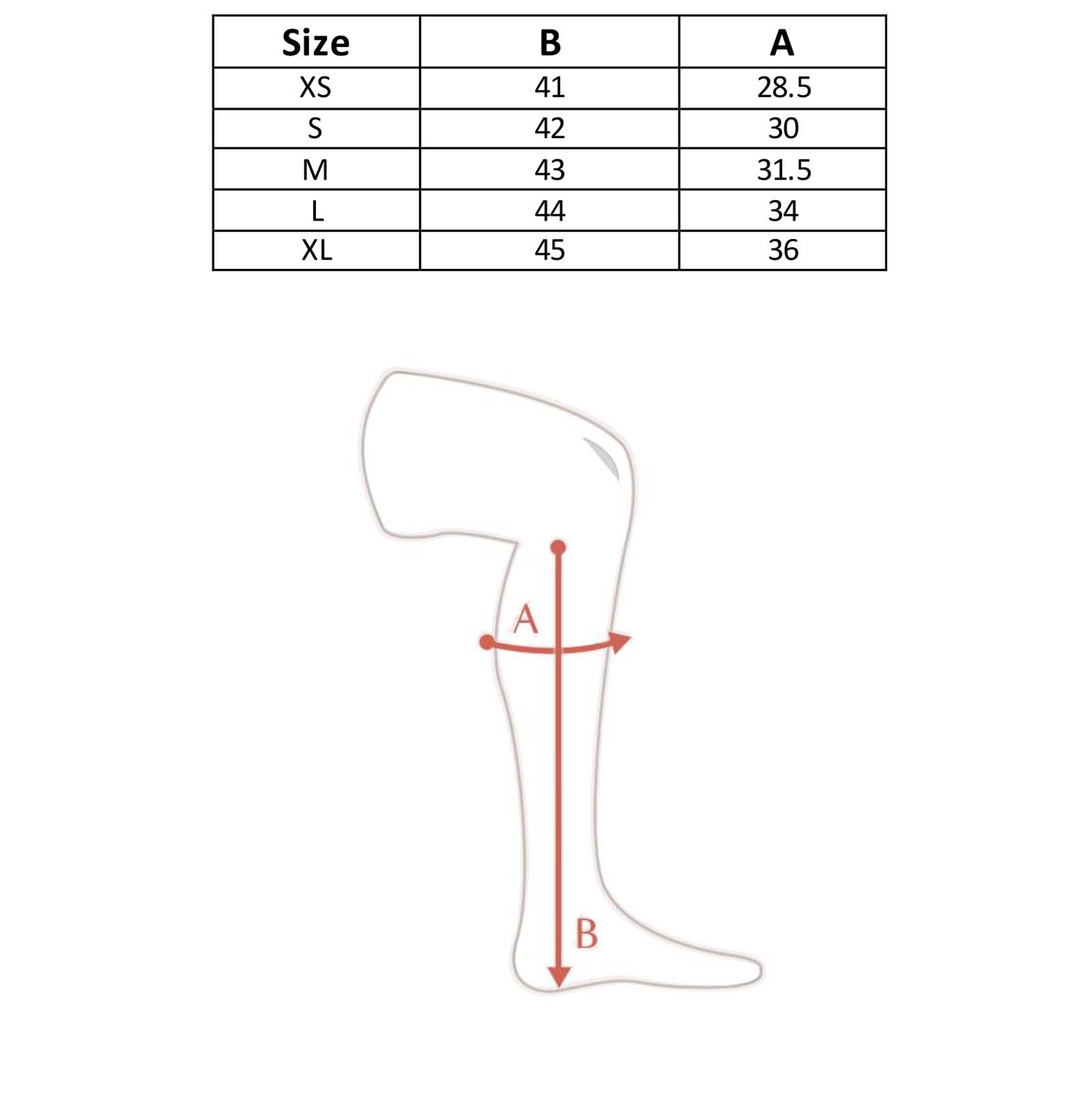 Mini-chaps Quinton Horze