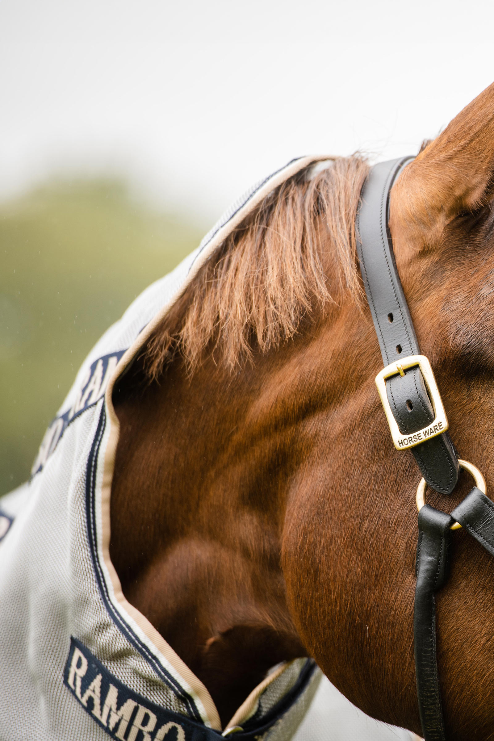 Horseware Rambo Protector couverture anti-mouches avec cou amovible