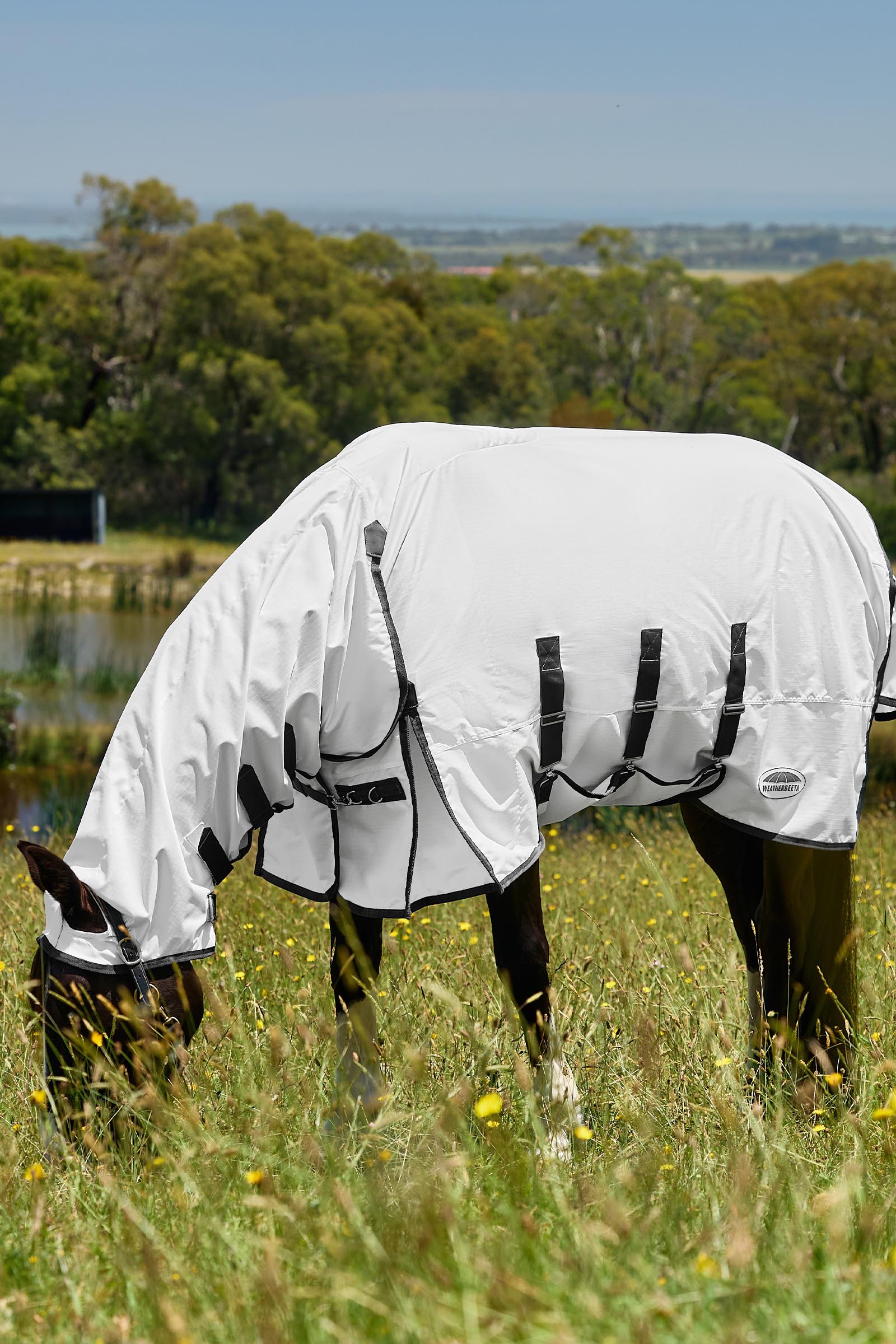 Weatherbeeta ComFiTec Sweet Itch Shield Couverture anti-mouches combo avec encolure fixe, 0 g  
