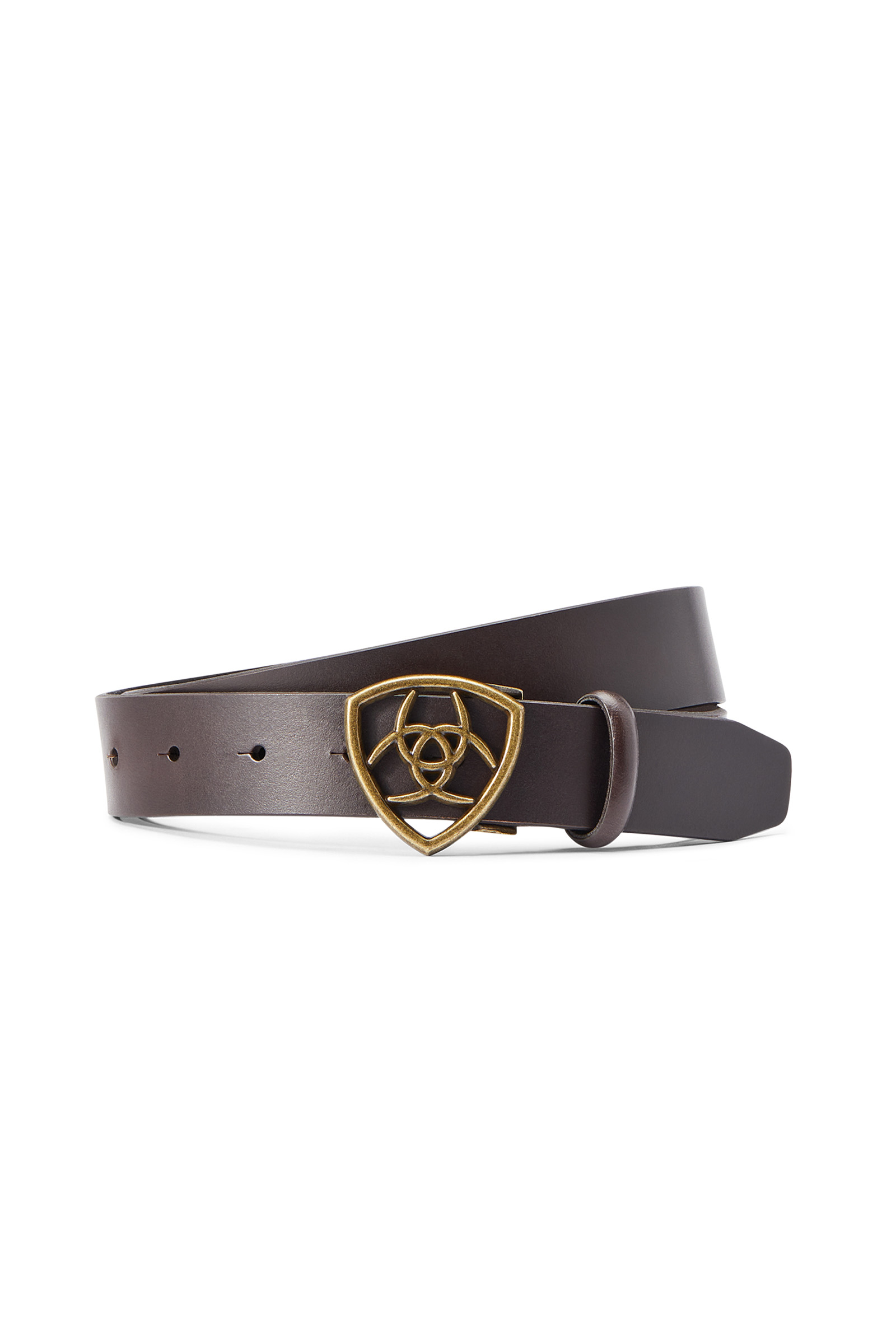 Dark Brown Ceinture Ariat Le Bouclier