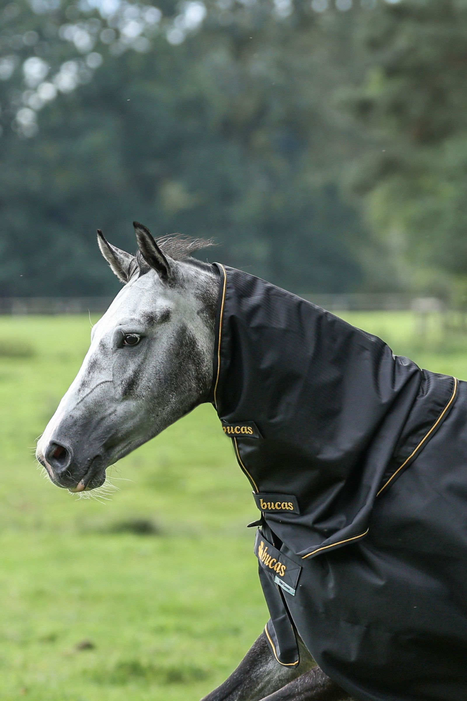 Bucas Irish Turnout couvre-cou, 0g