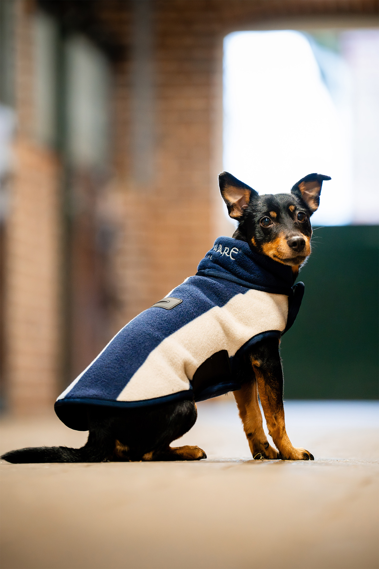 Whitney Navy Couverture polaire pour chien Horseware Signature