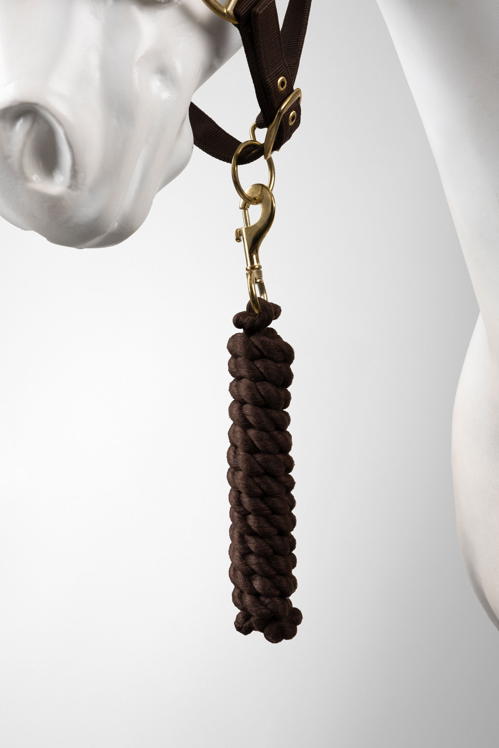 Horze licol et longe ensemble