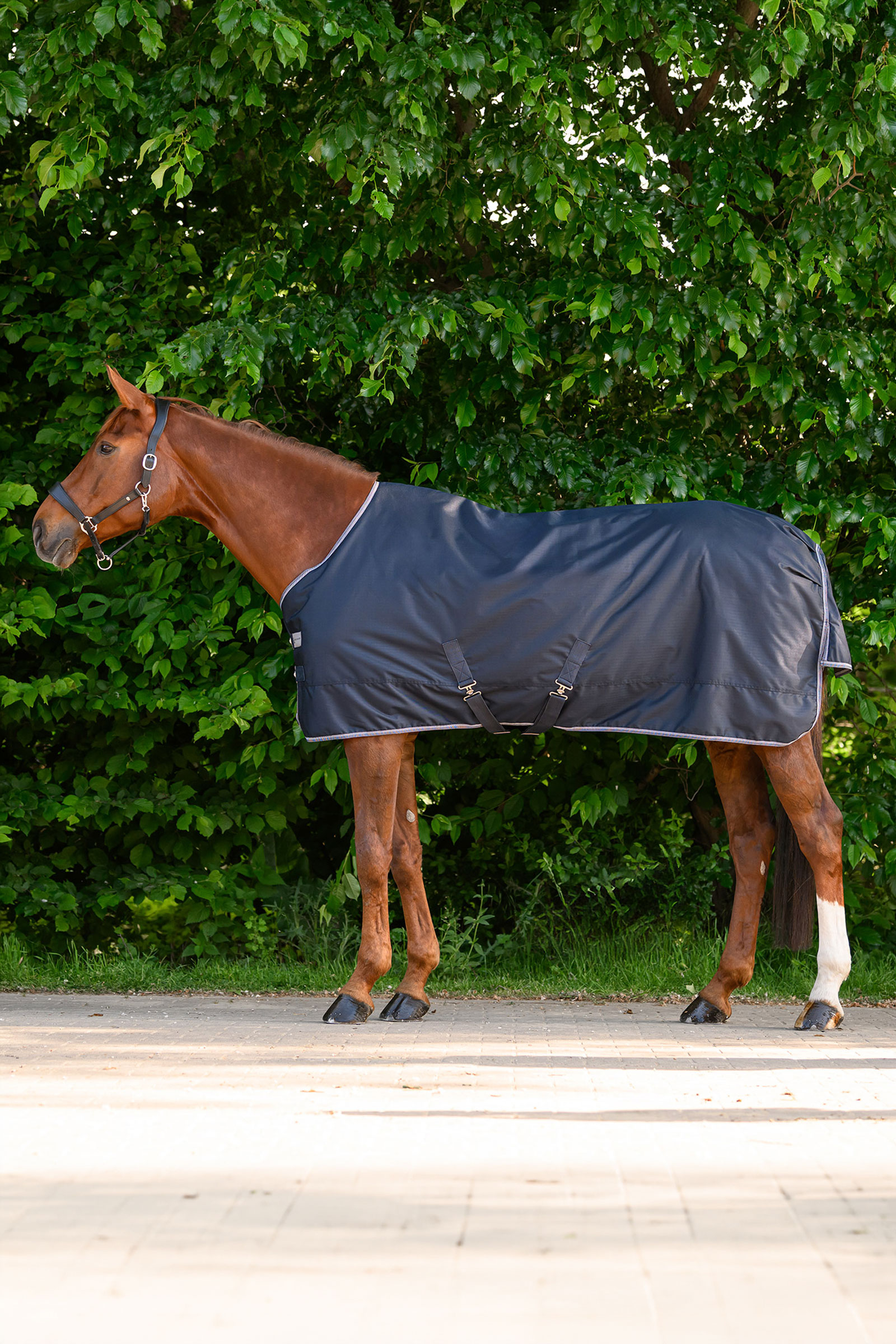 Waldhausen ECONOMIC couverture d&rsquo;ext&eacute;rieur l&eacute;g&egrave;re