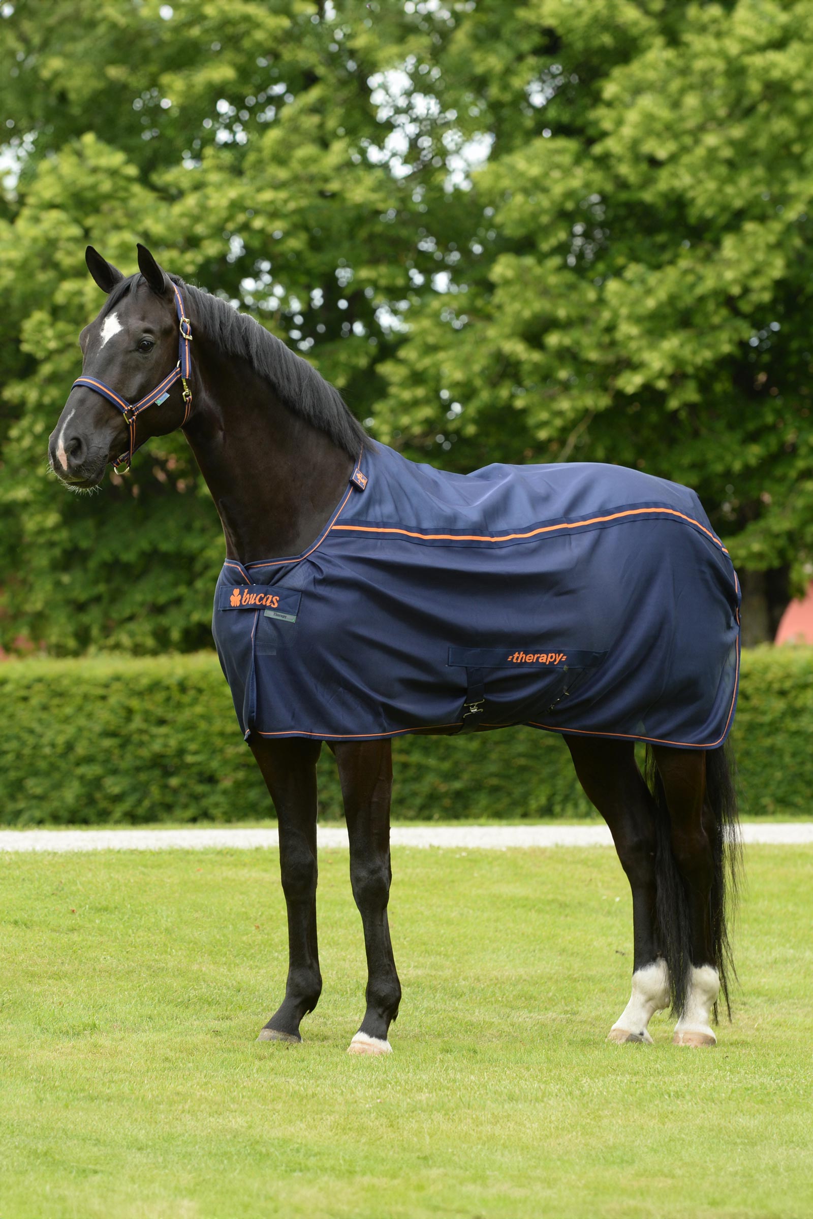 Bucas Therapy Mesh Couvre-reins séchant