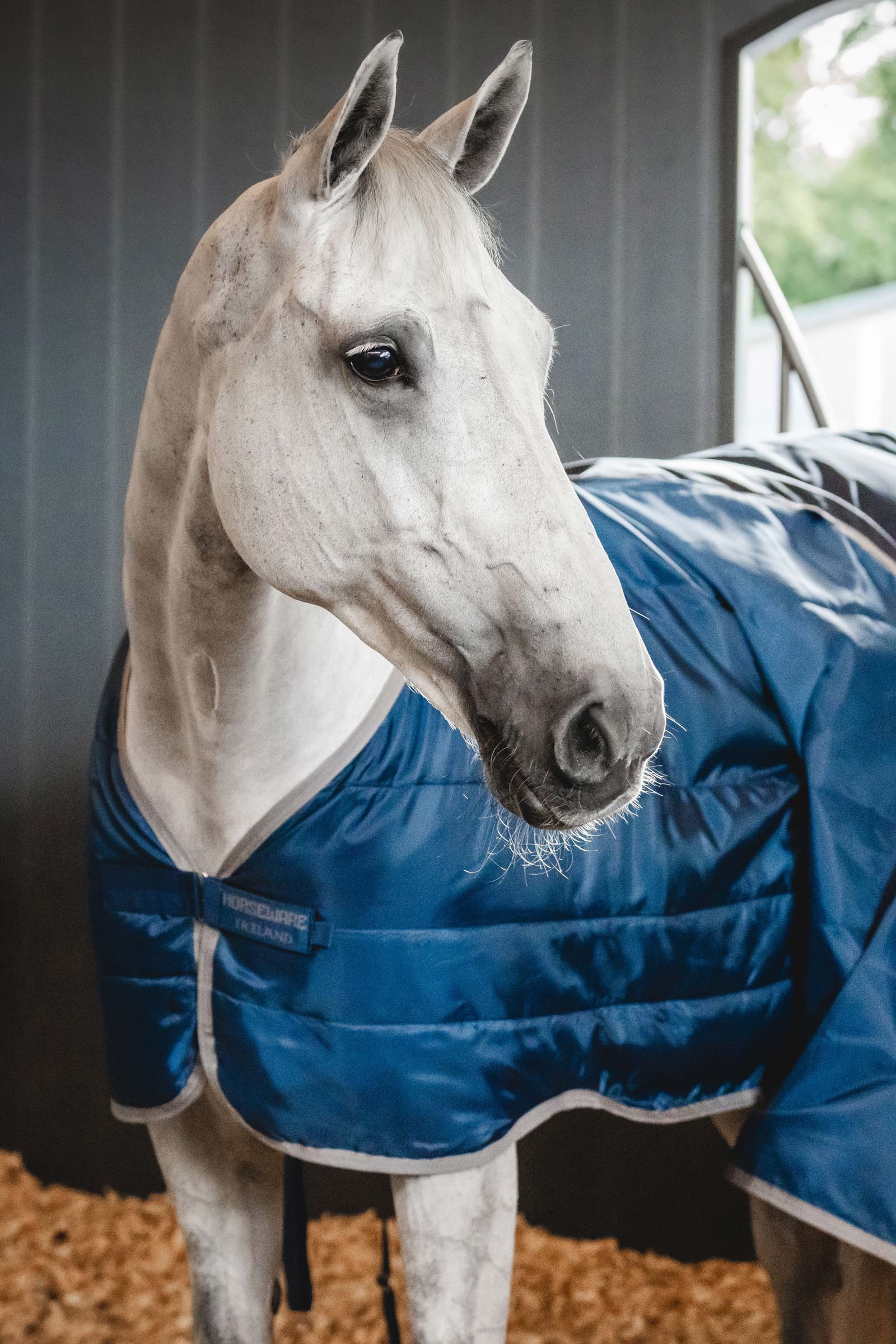 Horseware Ionic Therapy Doublure 50g