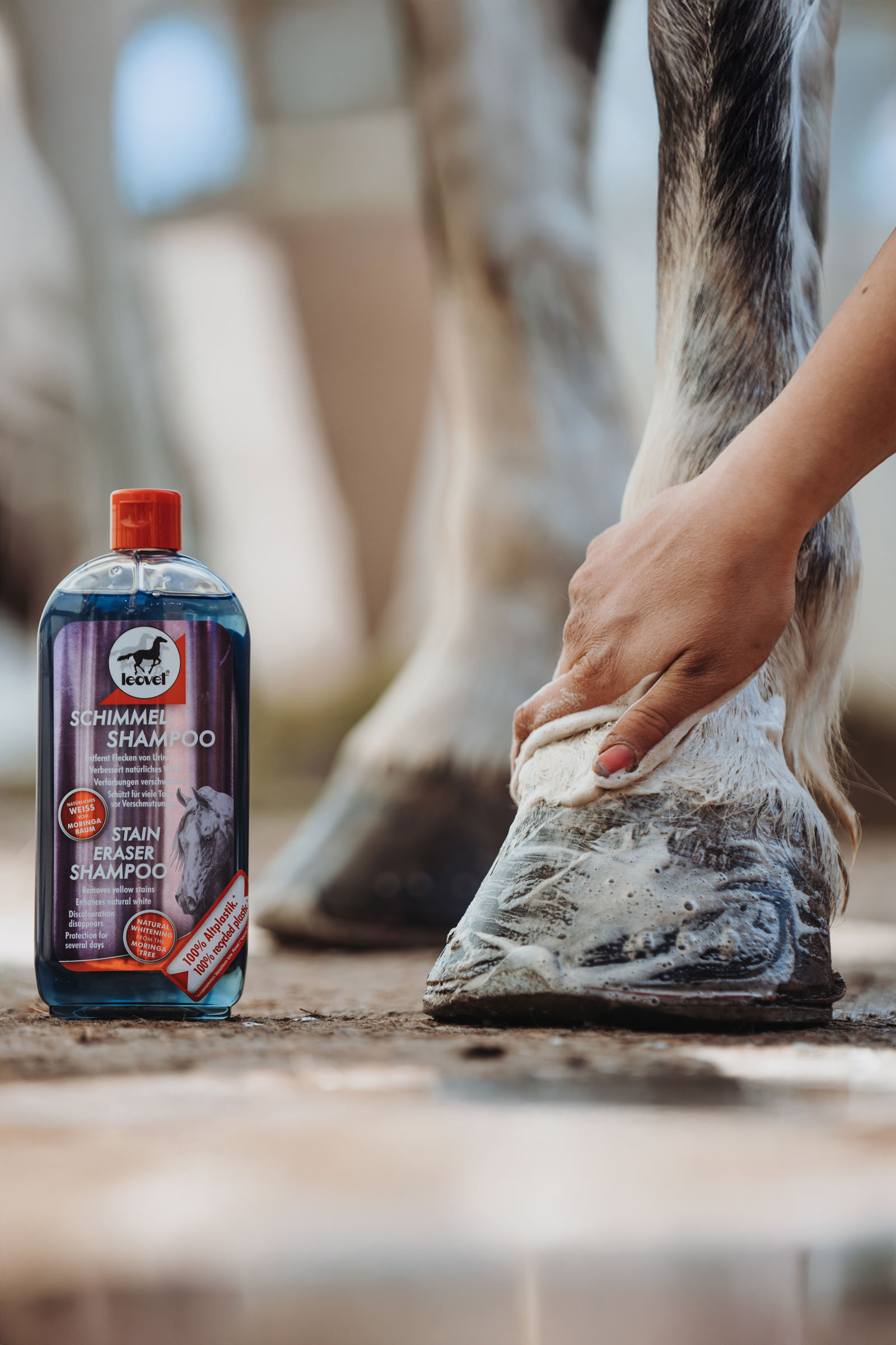 Anti-tache Spray Leovet Stain Eraser