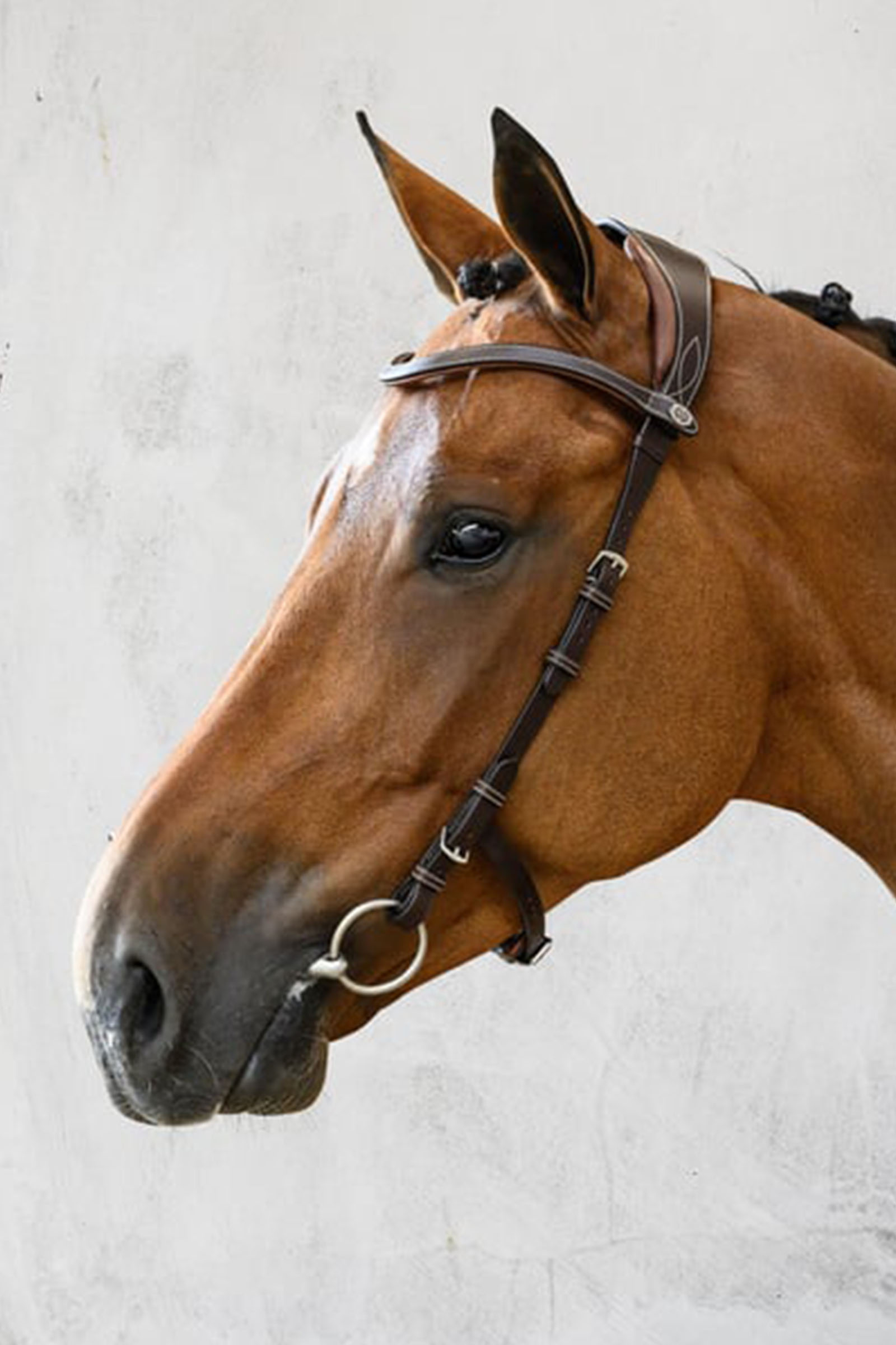 Filet PS of Sweden Helsinki