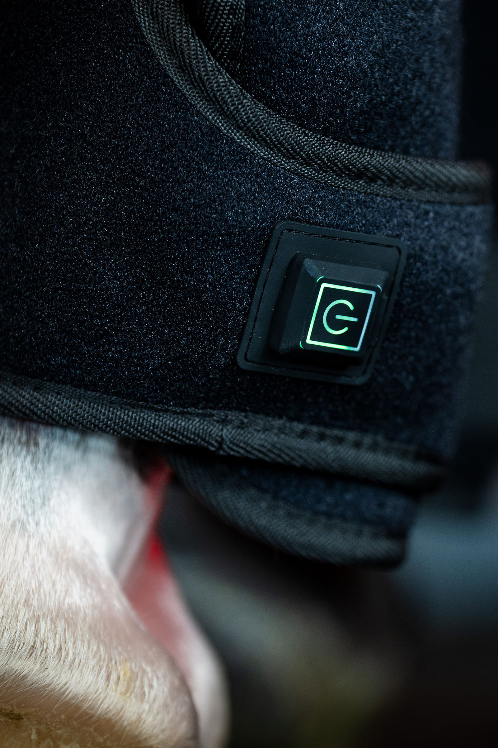 Horseware gu&ecirc;tre th&eacute;rapeutique LED &agrave; lumi&egrave;re rouge (1 pce)