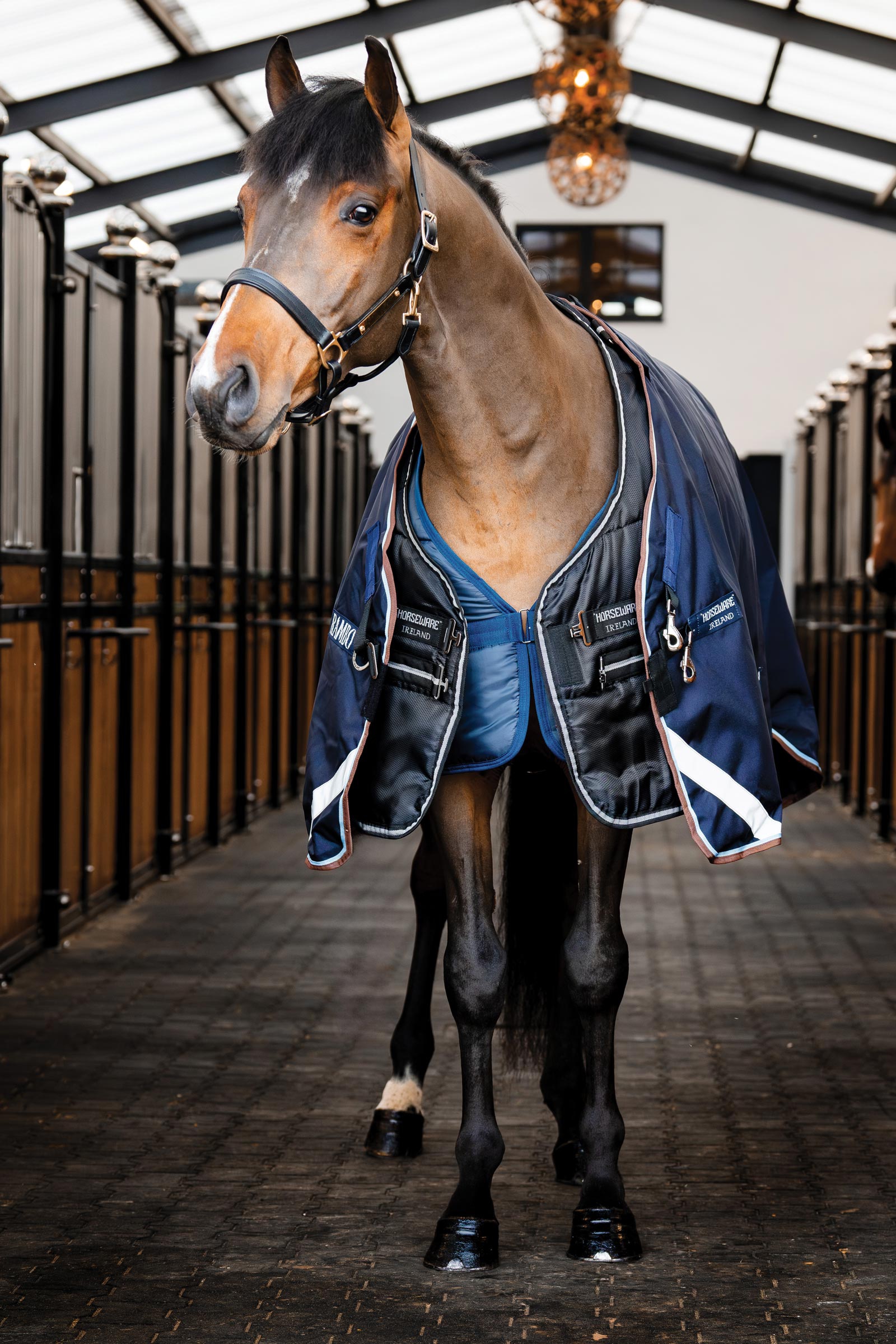 Horseware Easy-Layer couverture de box 100g