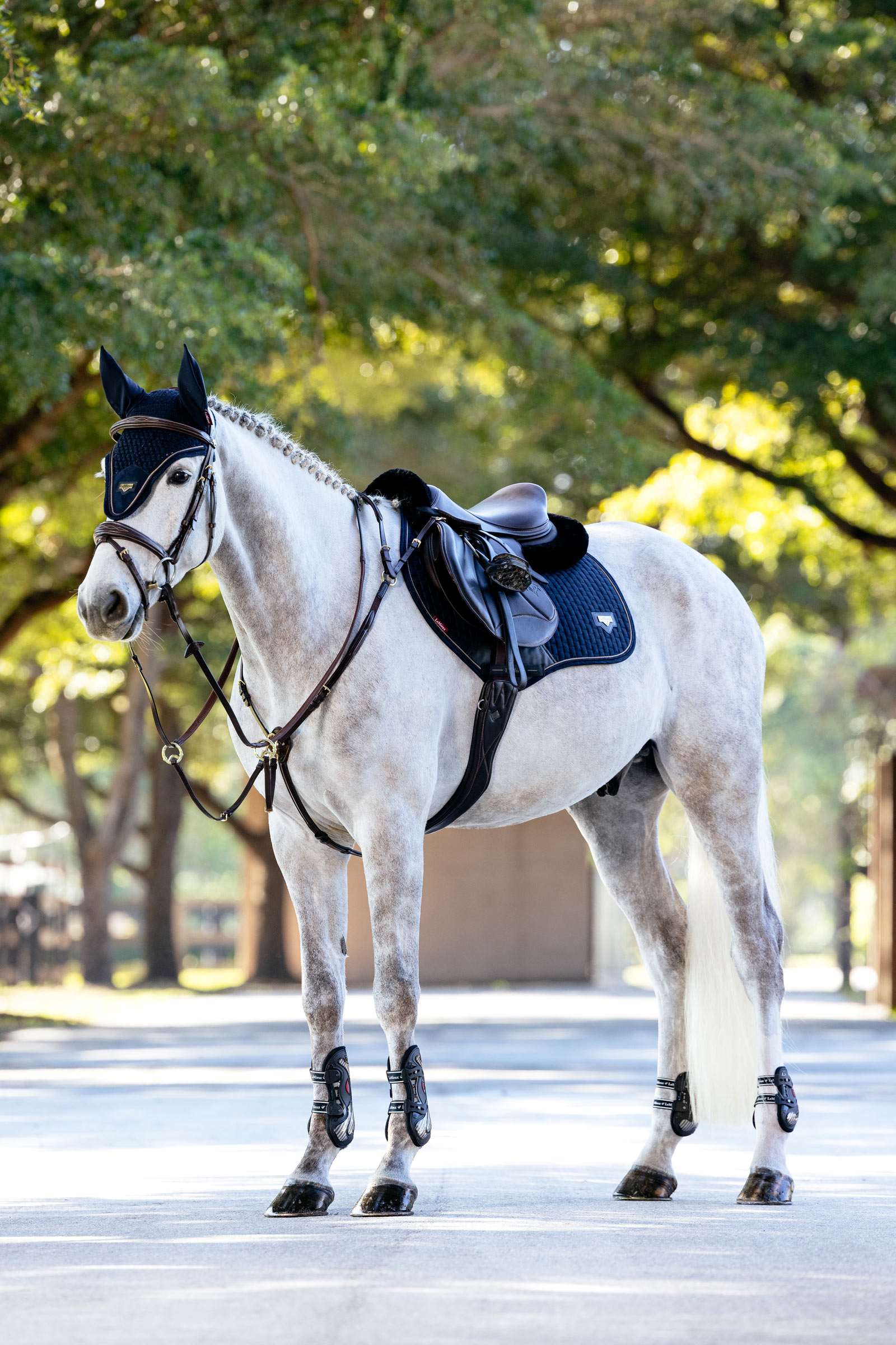 LeMieux Puissance Close Contact tapis de selle de saut en suédine