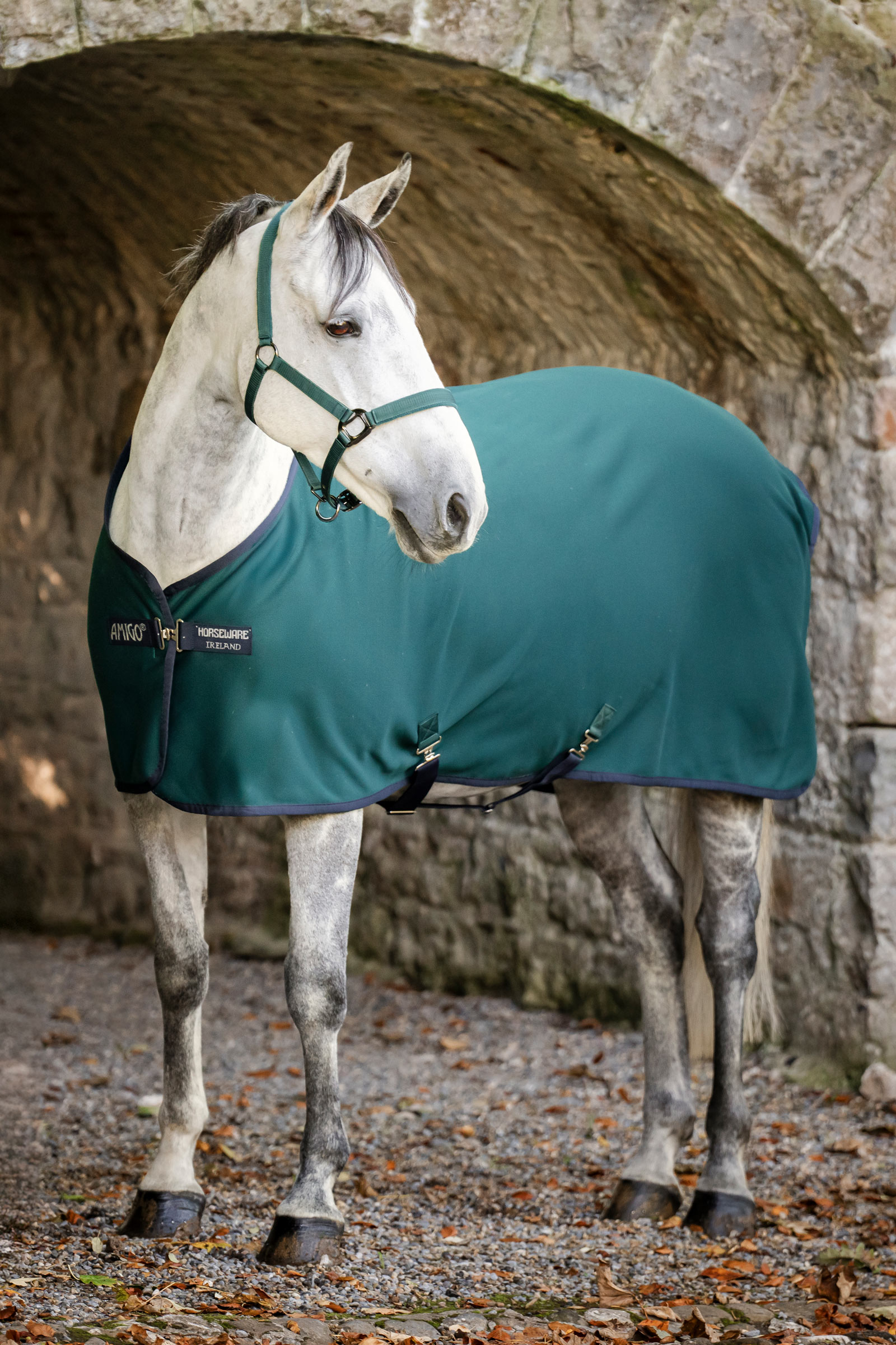 Horseware Amigo chemise séchante jersey