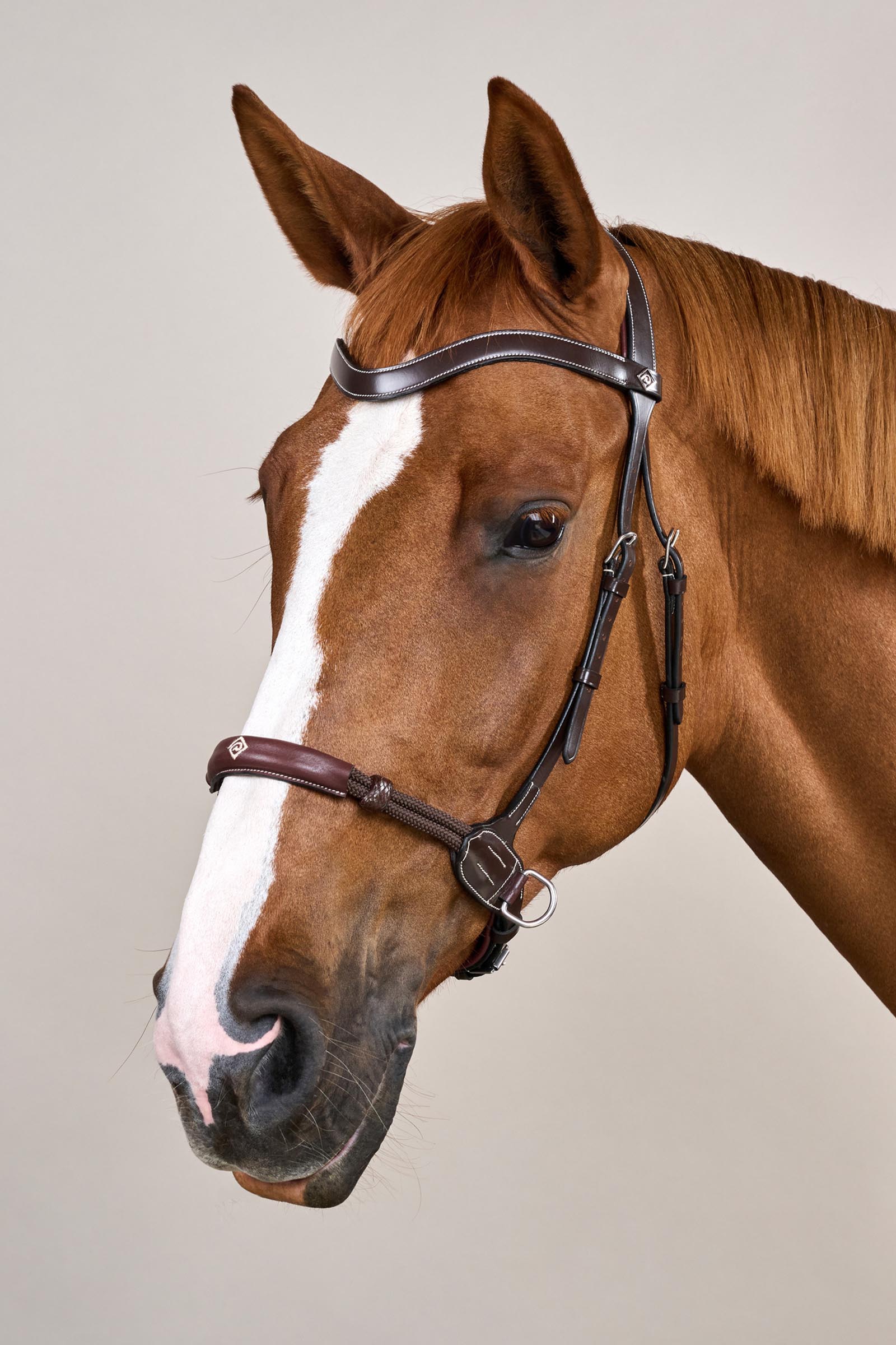 Dy'on Working bride sans mors  