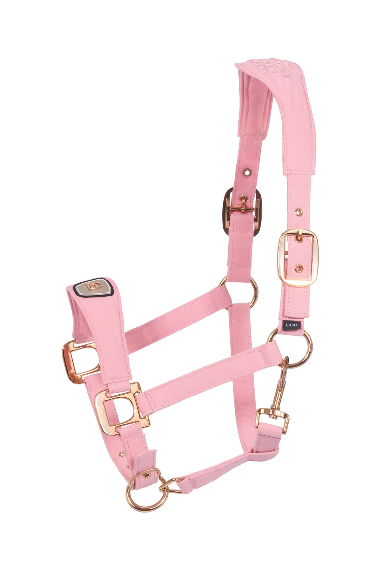 Powder Pink Cavallo CAVALPAWEL licol