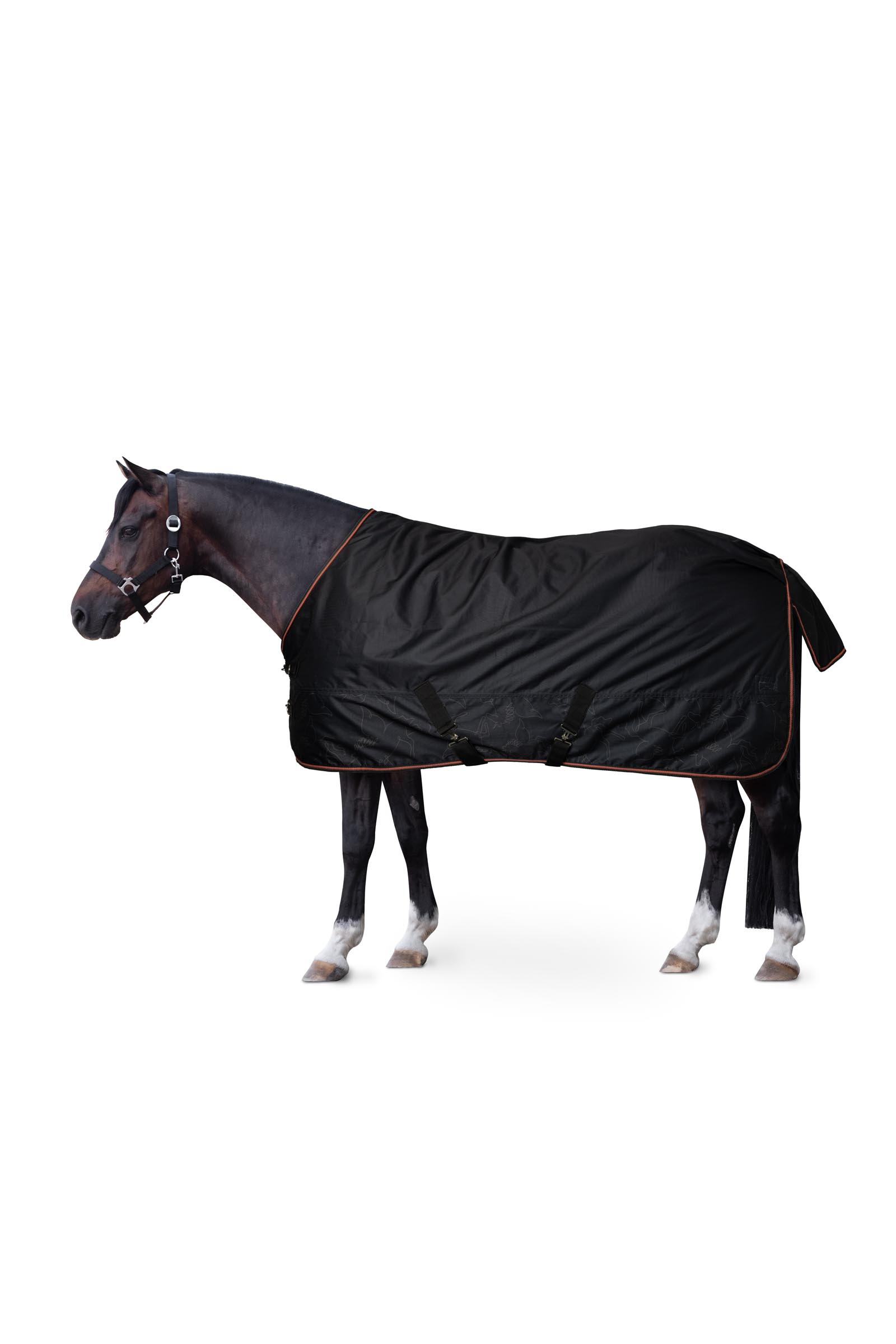 Couverture imperméable pour poney Horze Pegasus avec doublure en polaire