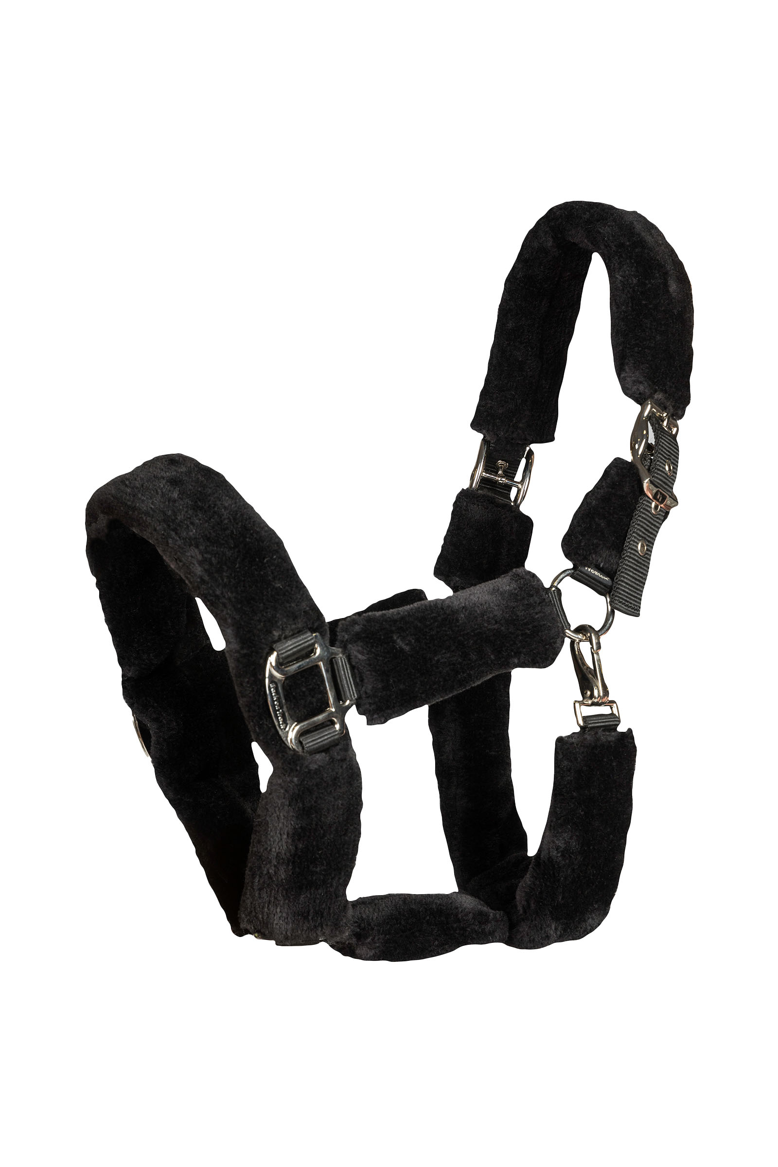 Back on Track Audrey licol