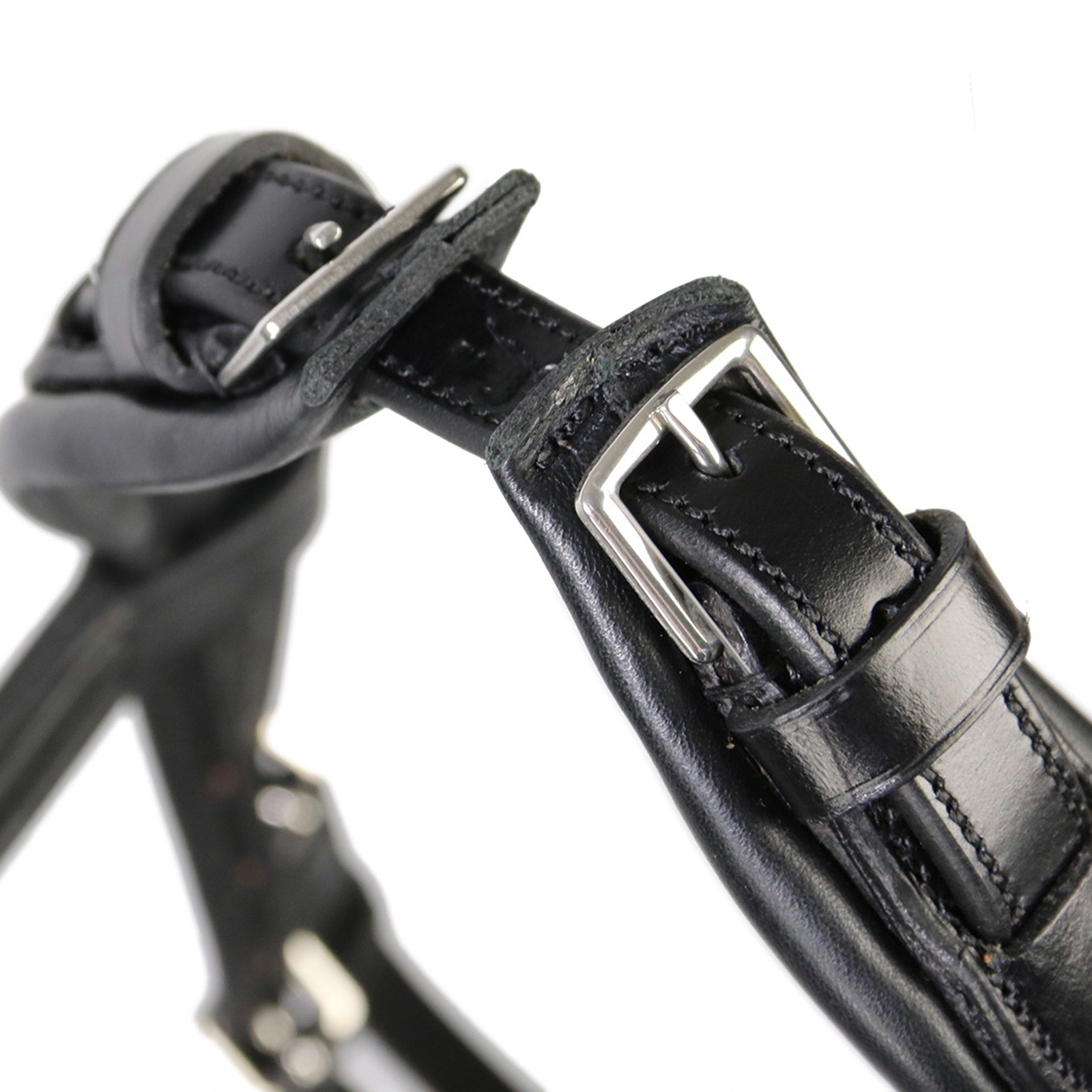 Têtière Schockemöhle Sports Equitus Rho