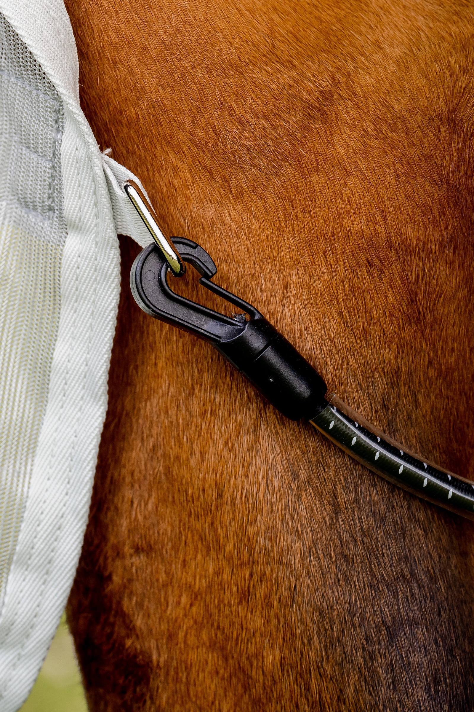 Horseware Amigo AmEco Combi couverture anti-mouches