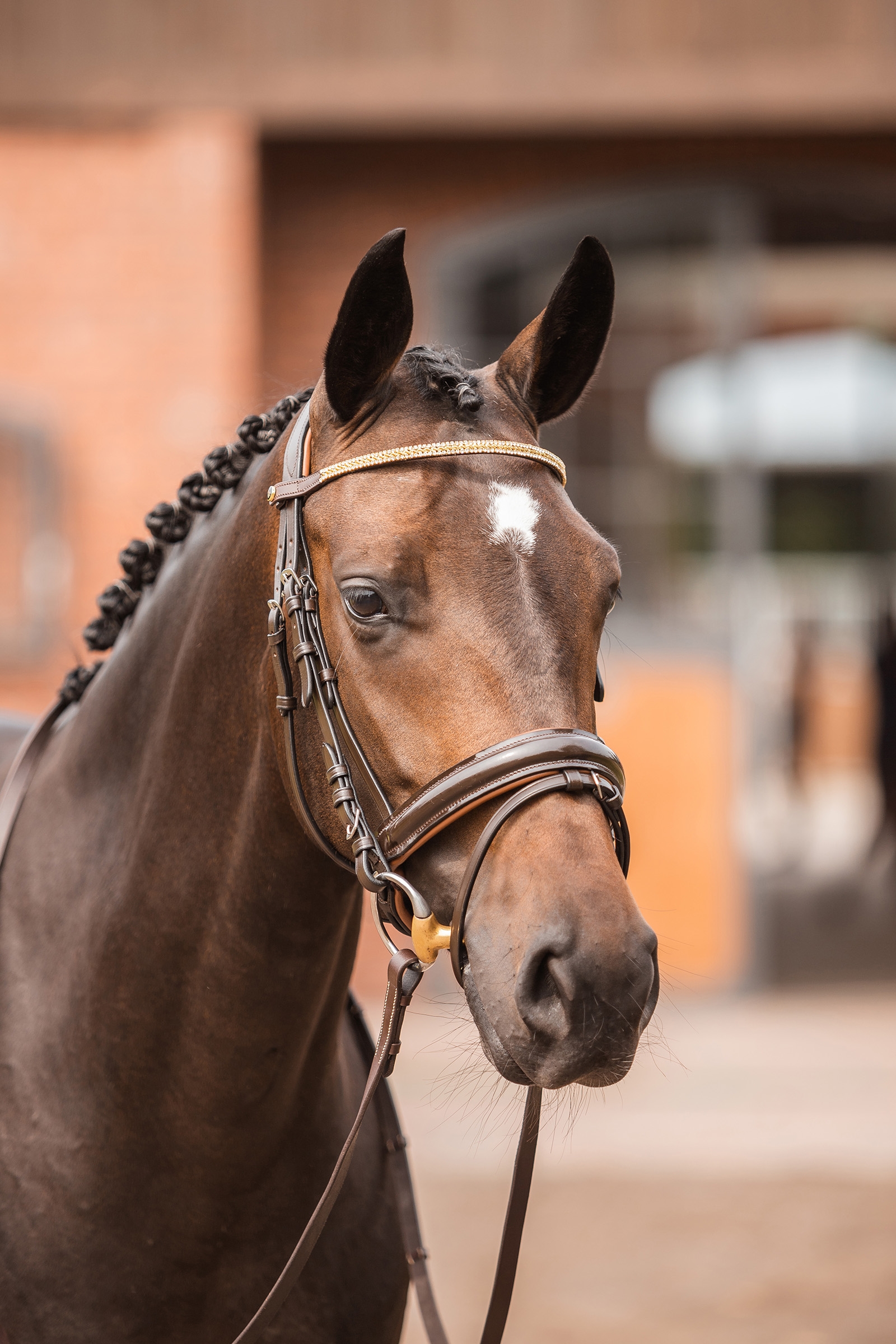 Frontal Horze Nancy Cristal avec frontal ligne