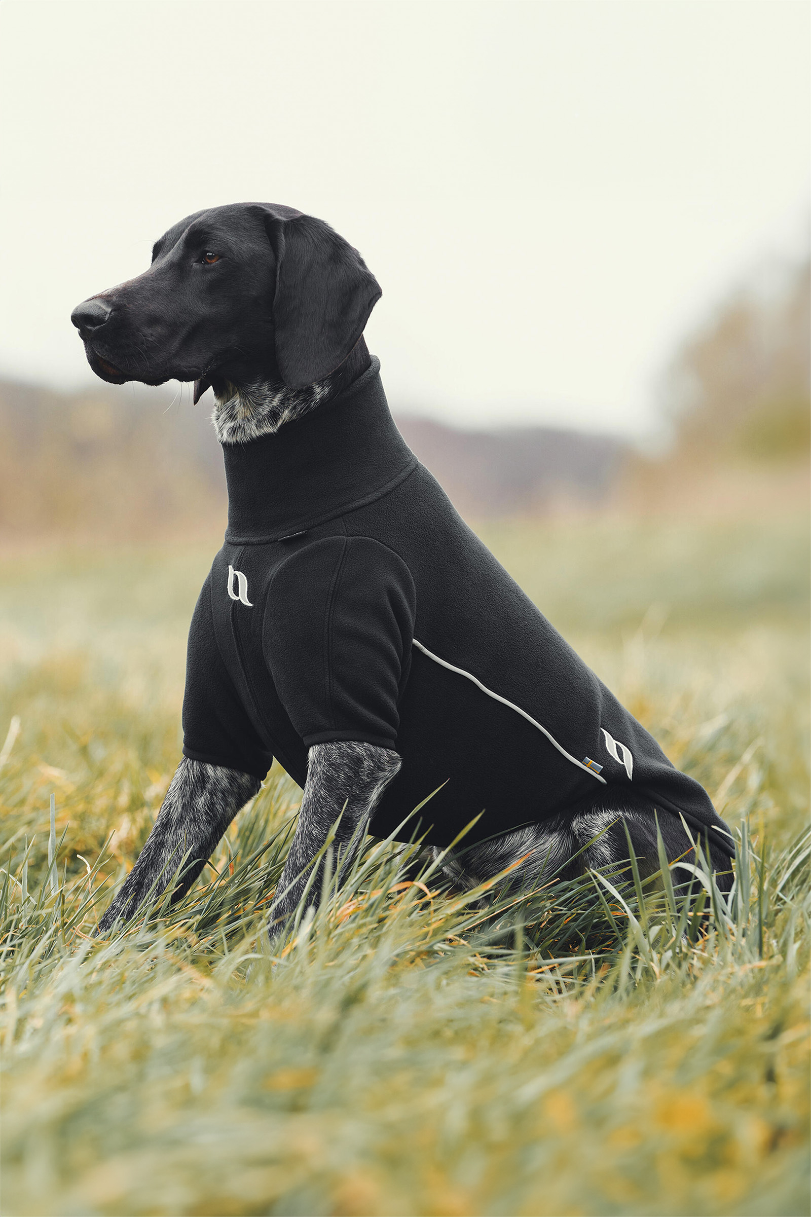 Pull tout temps Cassie Back on Track, 25-30 cm