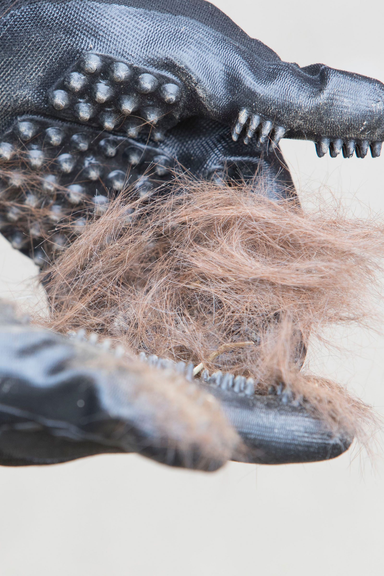 LeMieux Hands On gant de pansage