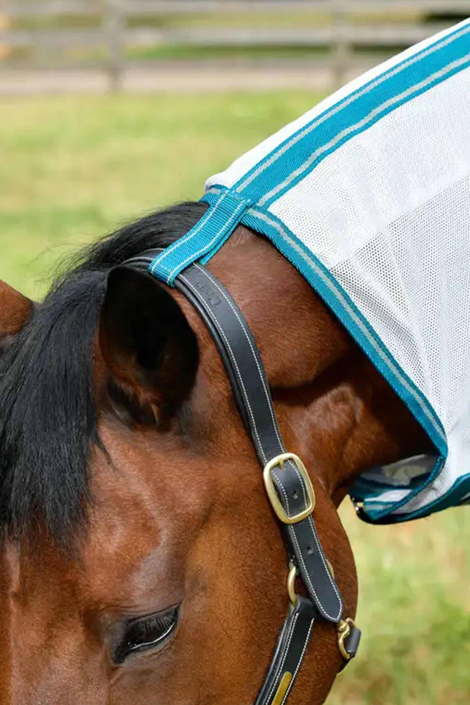 Weatherbeeta Comfitec Zephyr Plus Mesh Combo Couverture anti-mouches