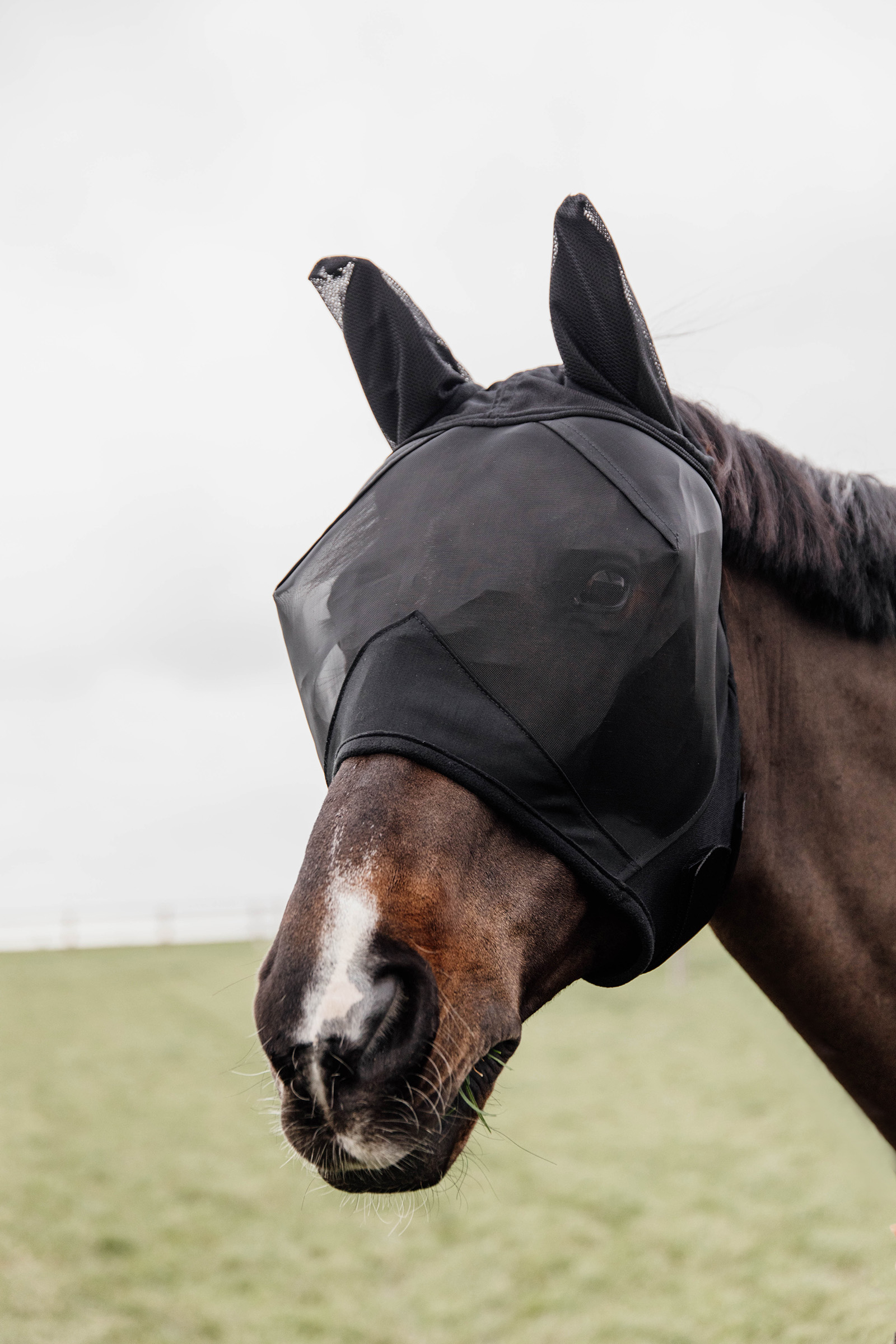 Masque anti-mouches avec oreilles Classic Kentucky Horsewear