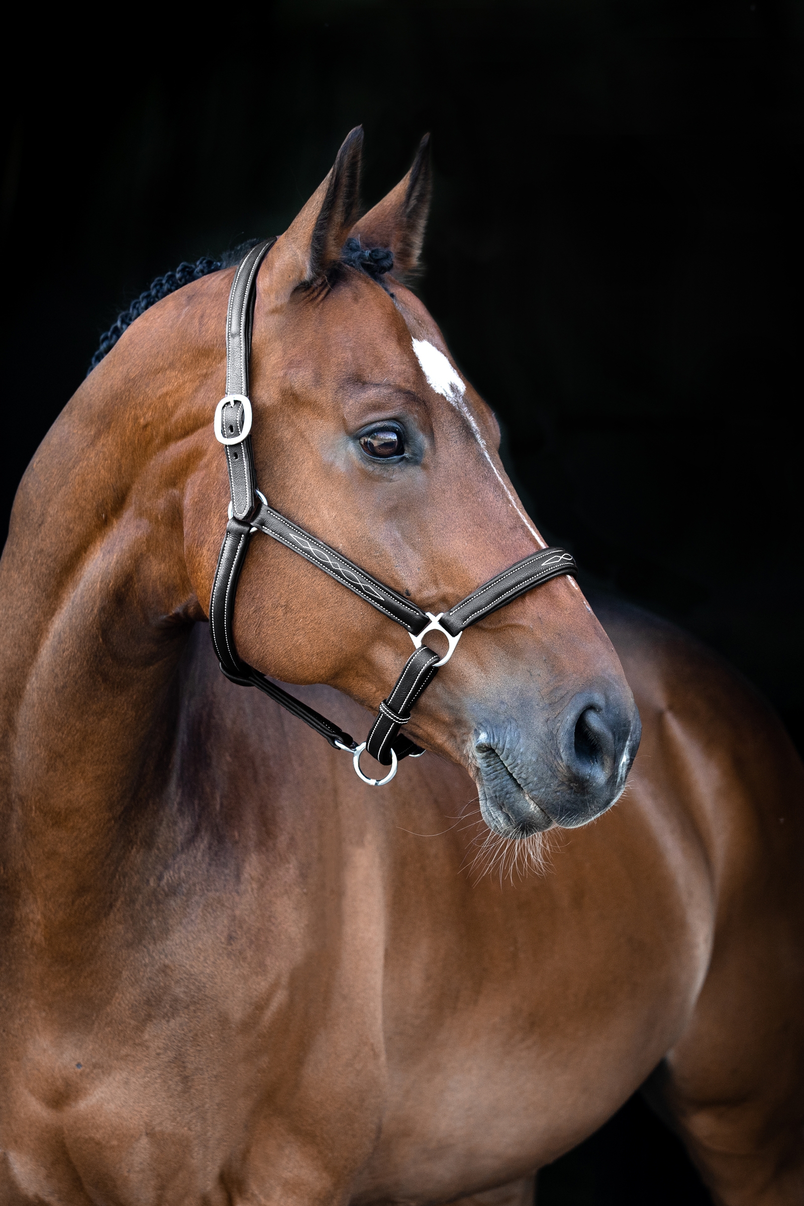 Licol cuir souple Horze Warren