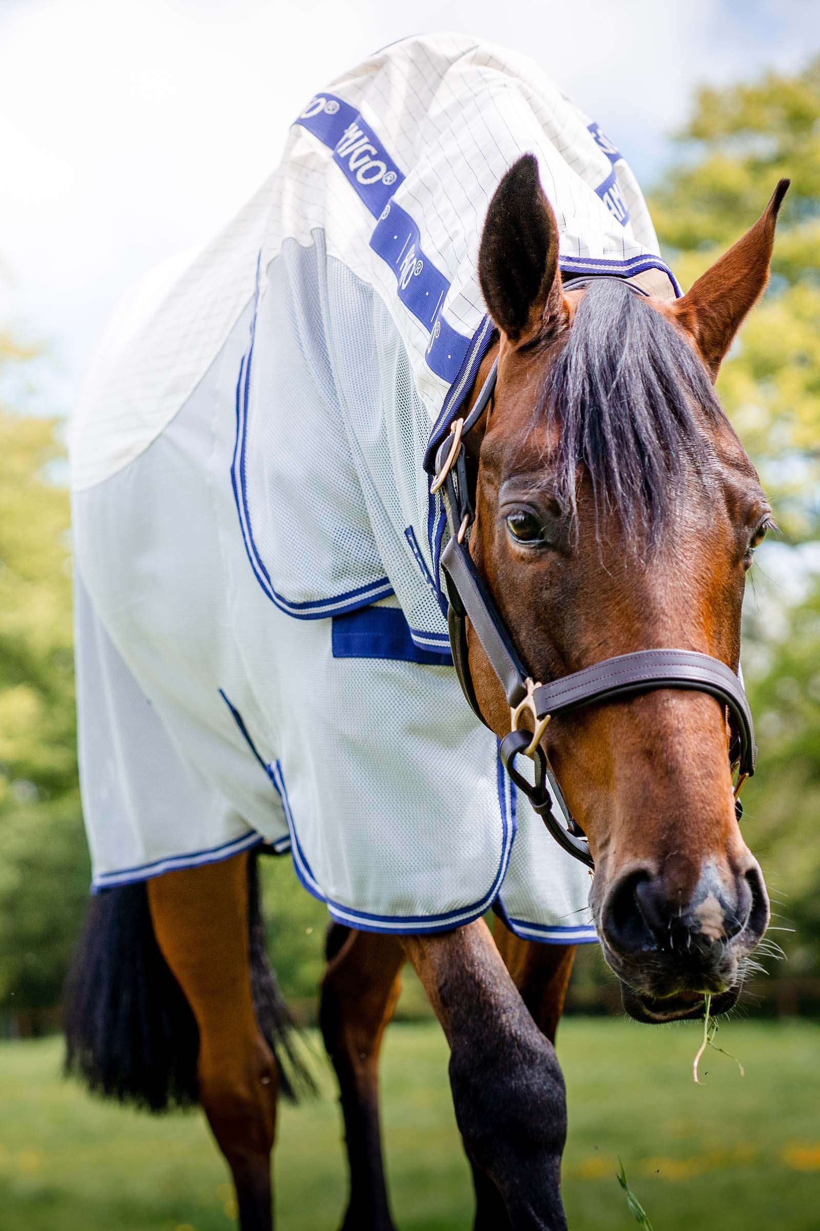 Horseware Amigo Airflow couverture anti-mouches avec partie de cou amovible