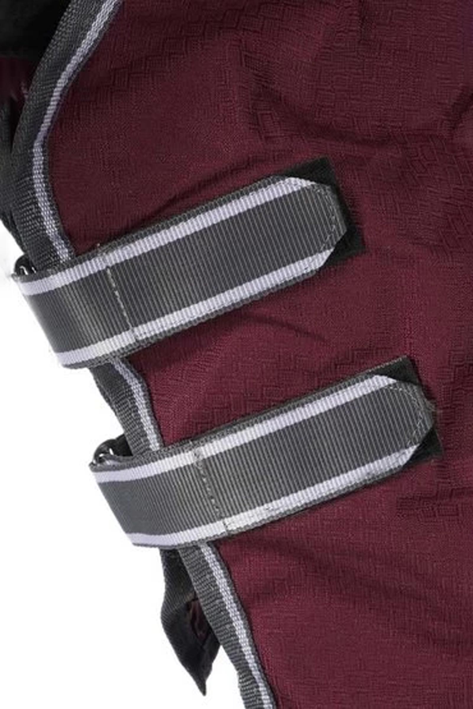 Weatherbeeta Comfitec Plus Dynamic II couverture d'extérieur avec partie de cou amovible, 220g