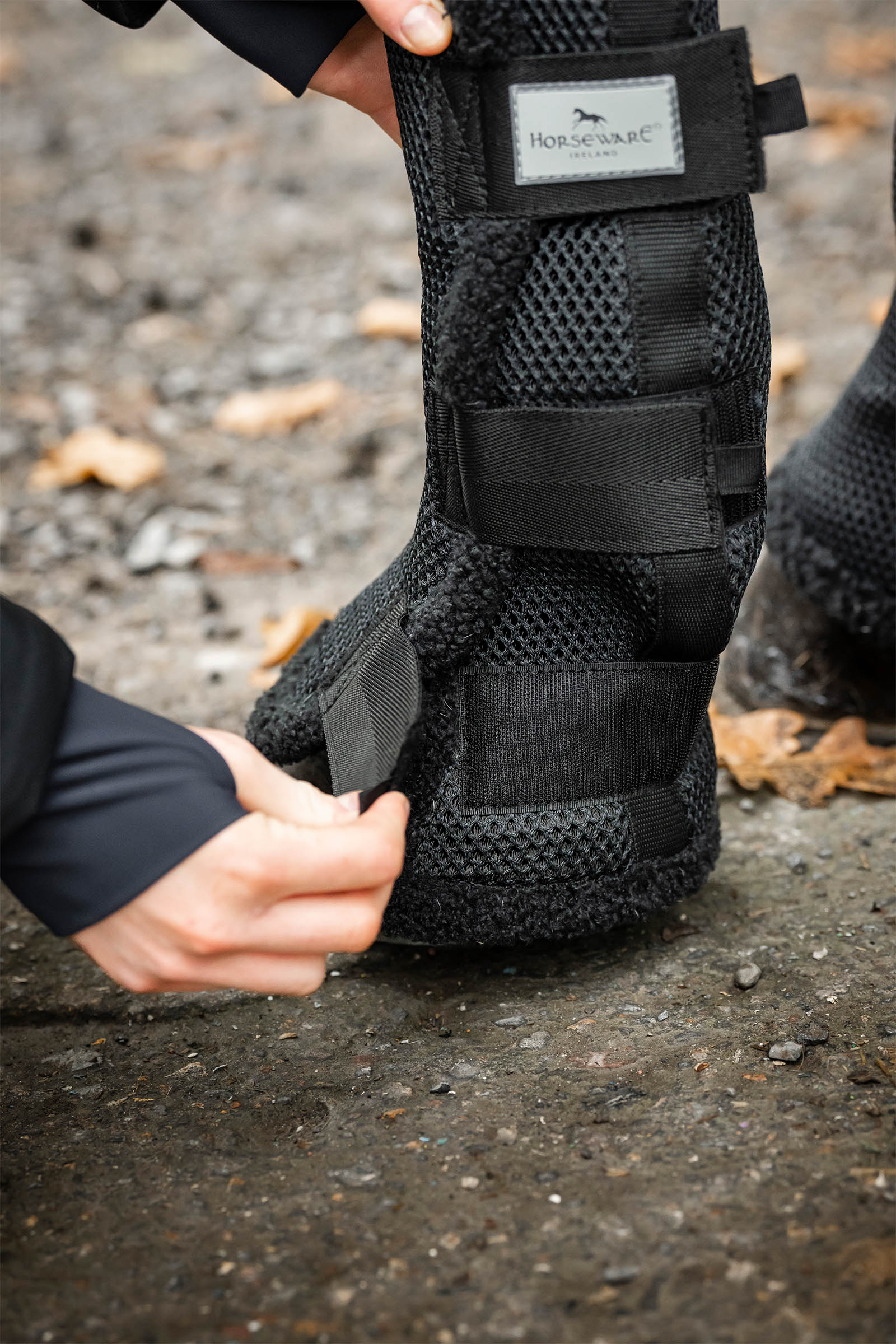 Horseware Show Ready bandes