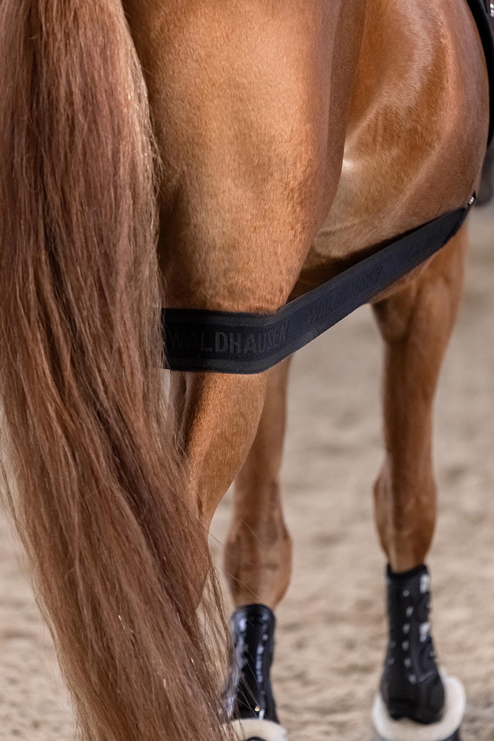 Waldhausen bandage corporel pour activation de l&rsquo;arri&egrave;re-main