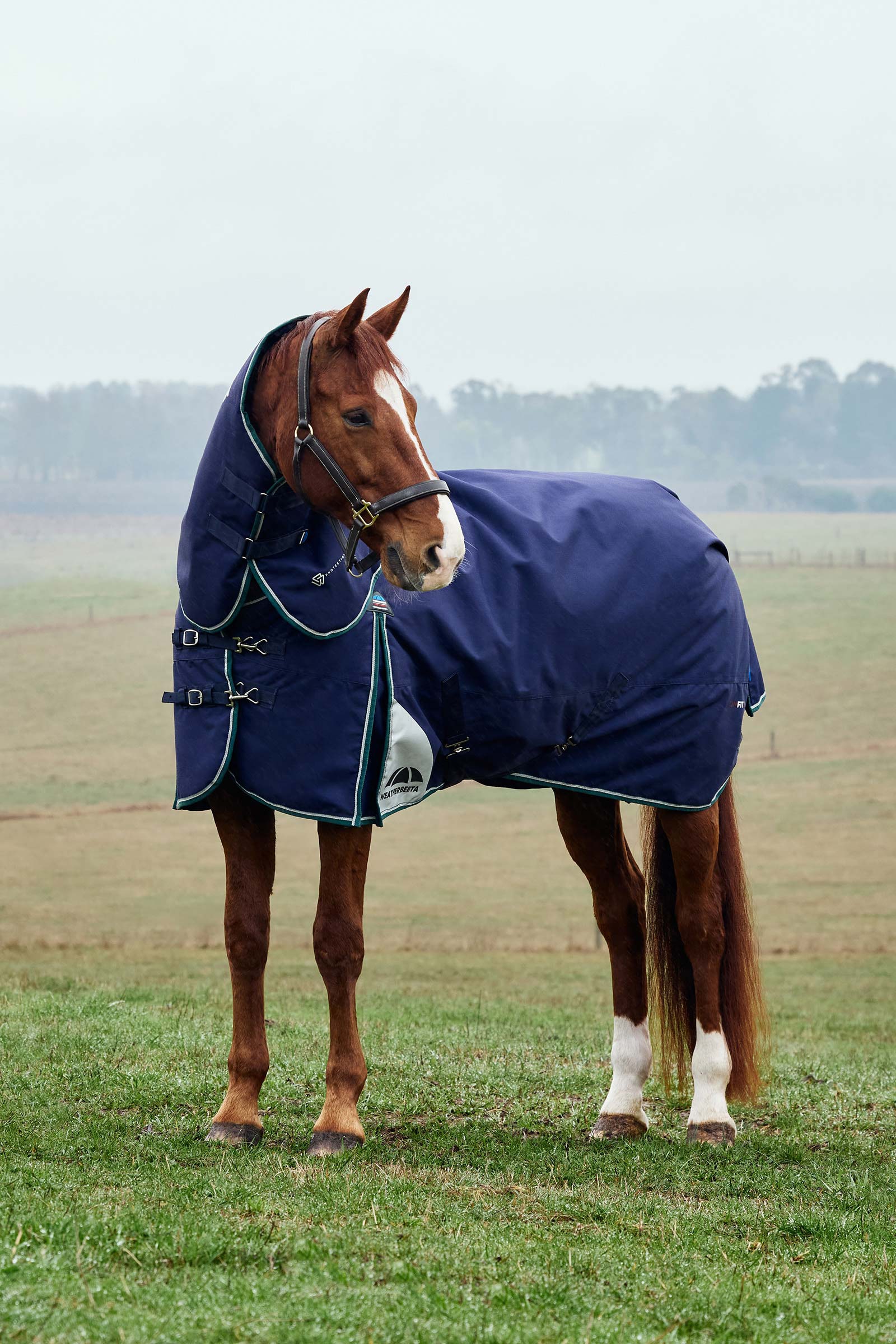 Weatherbeeta ComFiTecPlus Dynamic Turnout Detach-A-Neck 220G