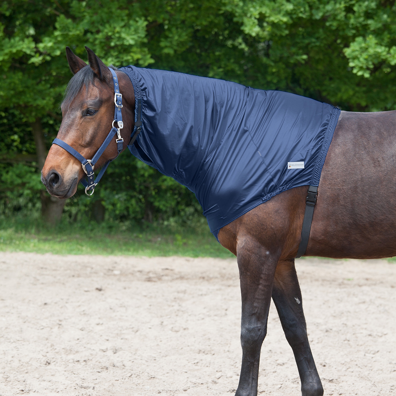 Couvre-encolure et garrot Waldhausen Eczéma