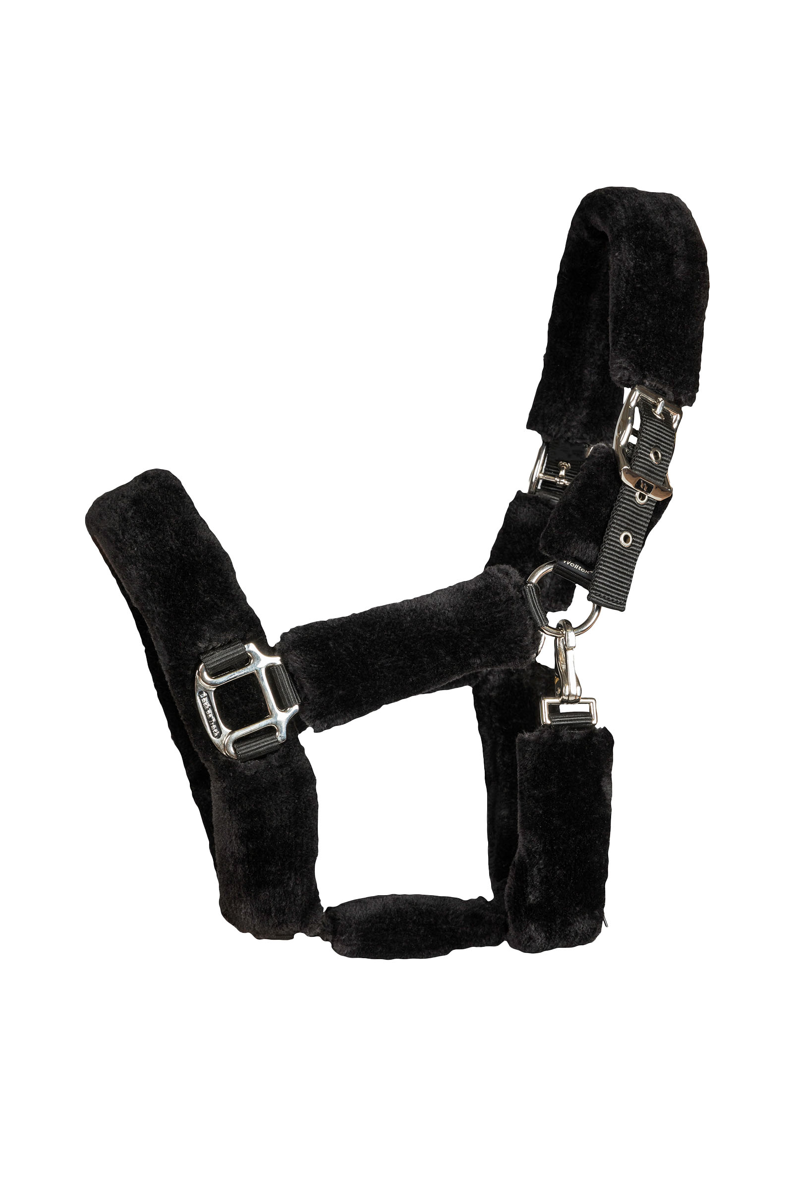 Back on Track Audrey licol