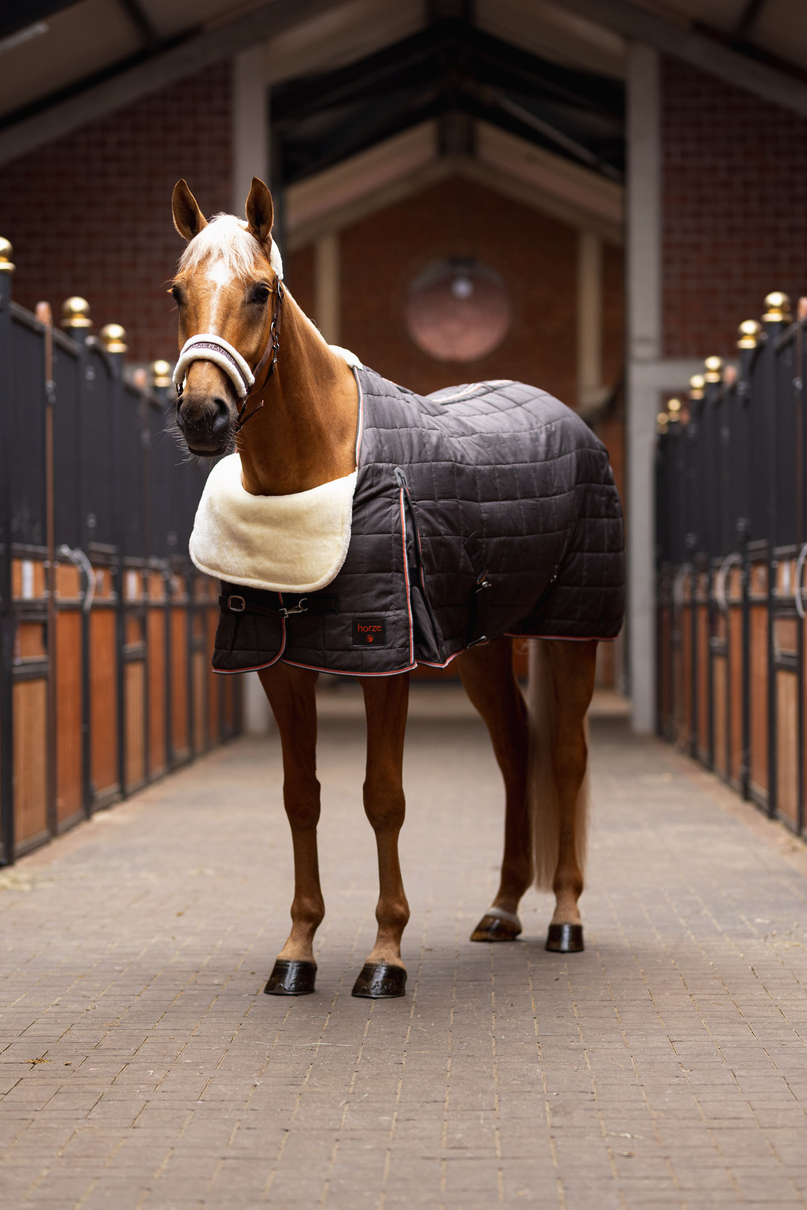 Prot&egrave;ge-&eacute;paule Horze Confort