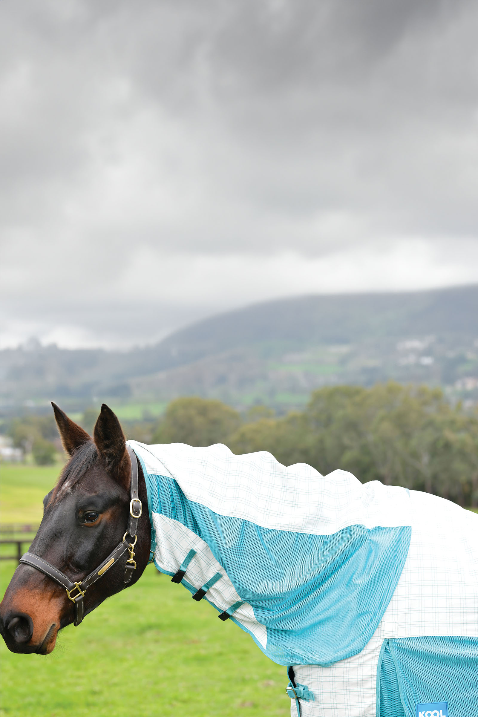 Weatherbeeta Kool Coat Coton Airstream Ii Detach-A-Neck