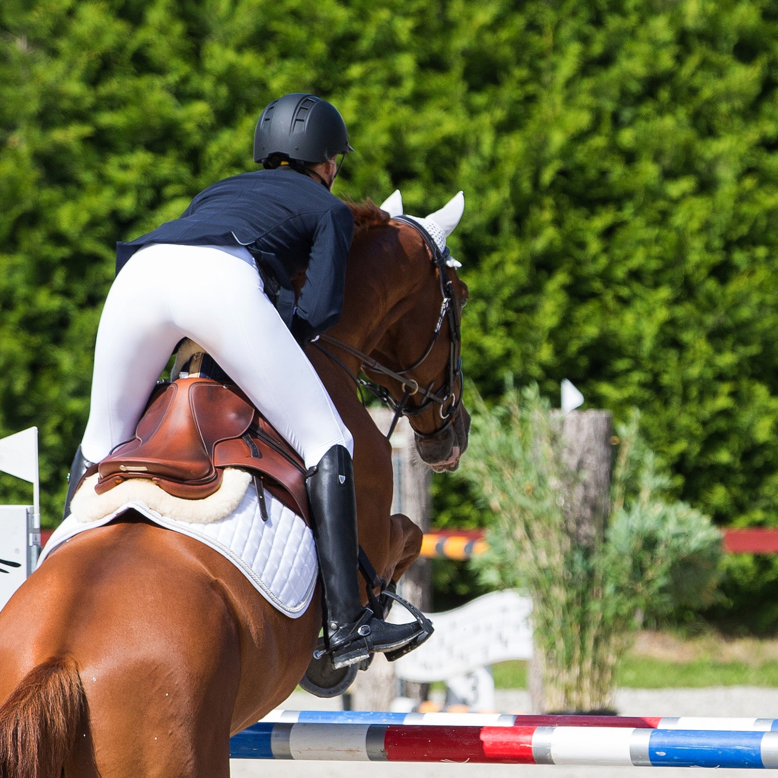 Bottes Horze Winslow, en cuir véritable