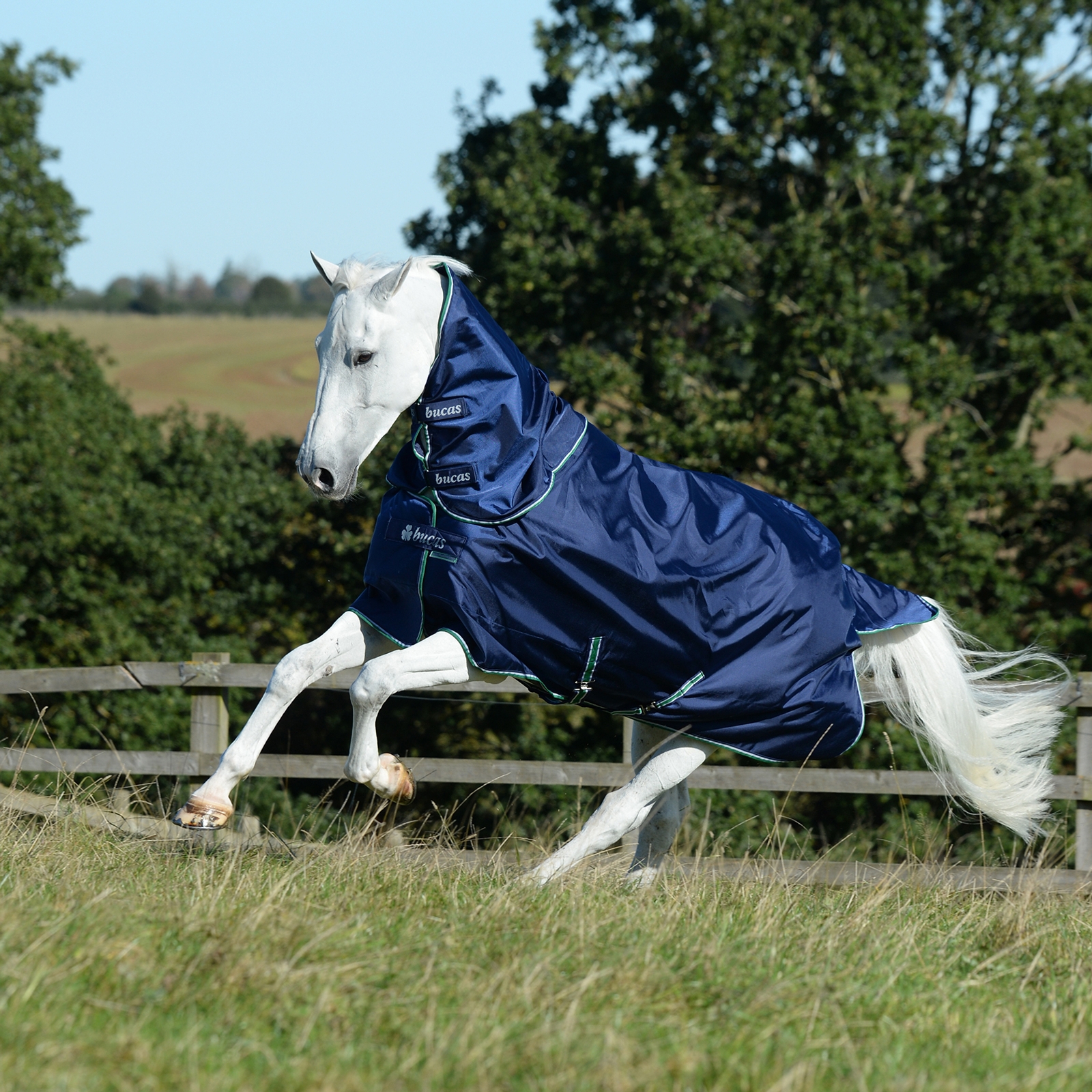 Prot&egrave;ge-encolure Bucas Smartex Combi 300