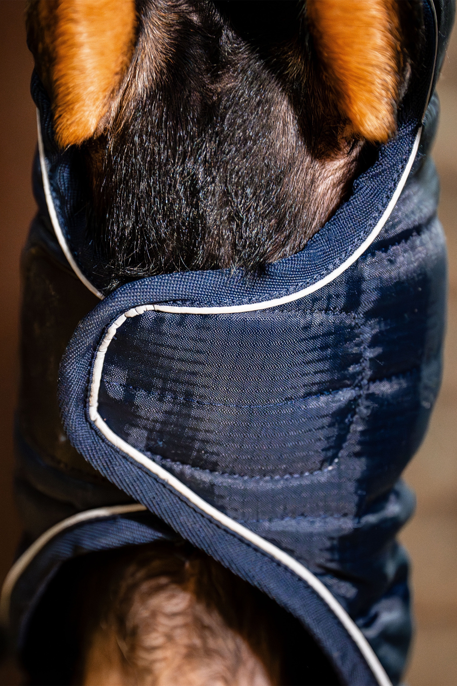 Manteau pour chien Horseware Signature