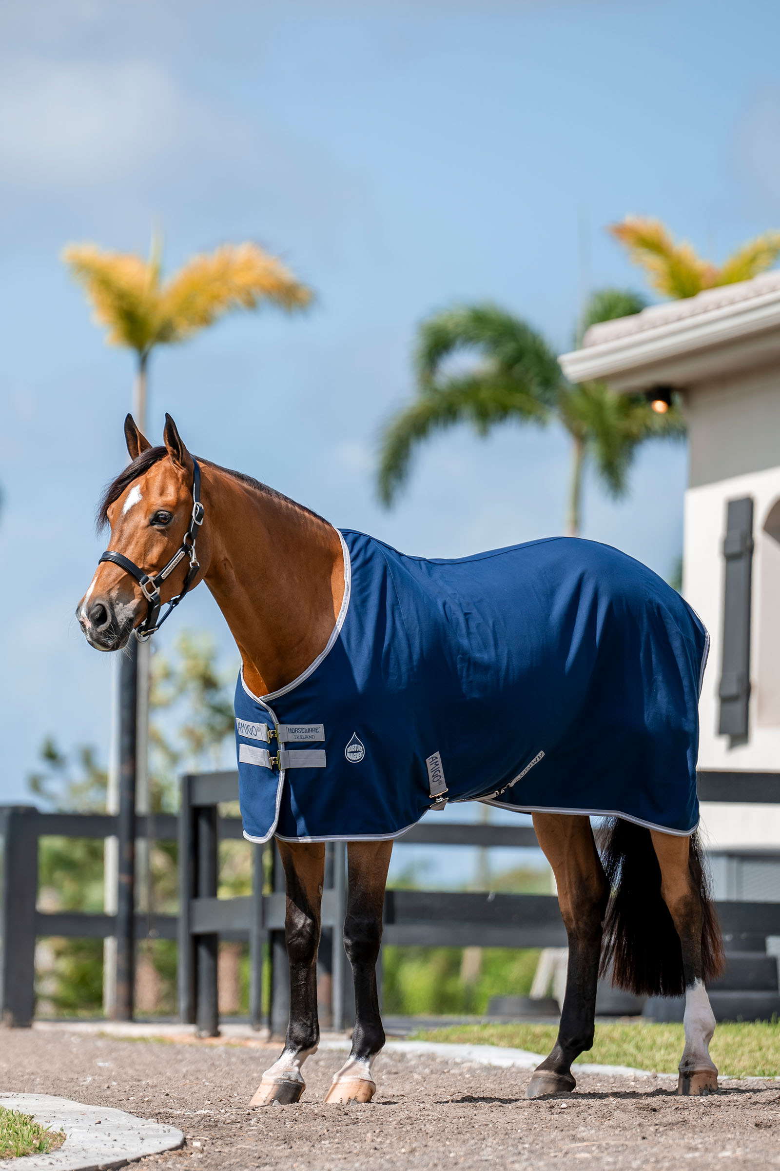 Horseware Amigo Couverture &eacute;curie, 0g