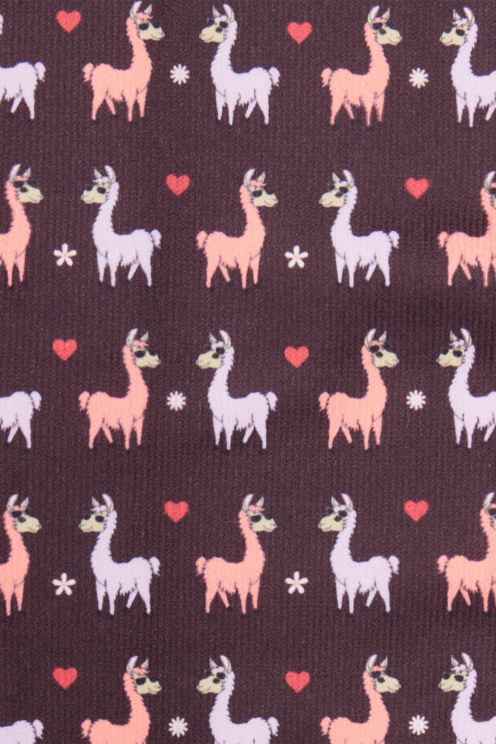 LeMieux Llamas Footsie chaussettes