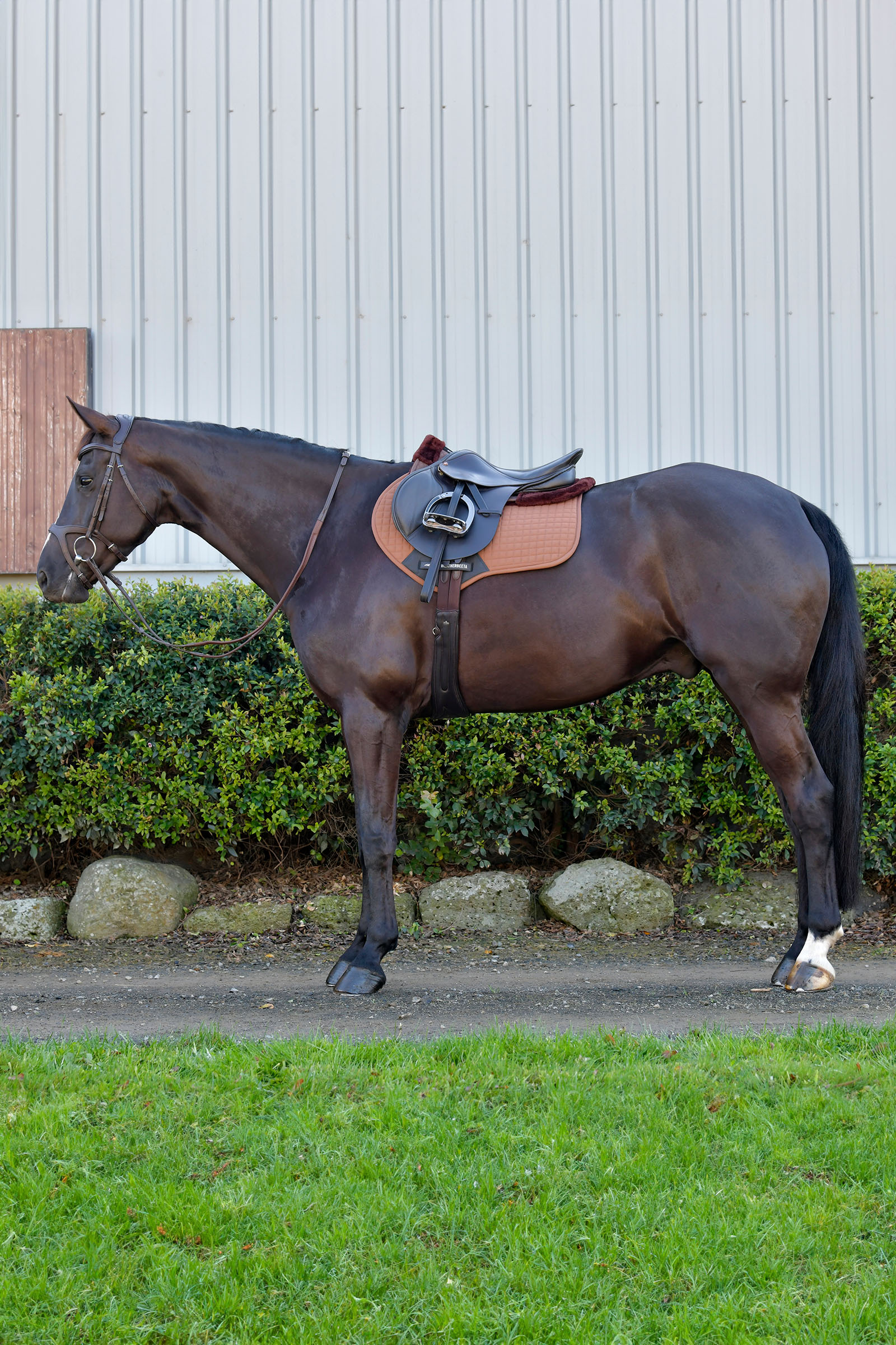 Weatherbeeta Prime Comfy Fleece tapis de selle de saut